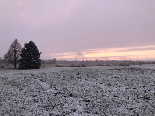 Self-Care Through The Holidays