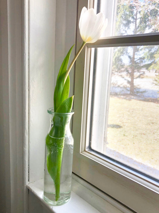 Poised For Spring