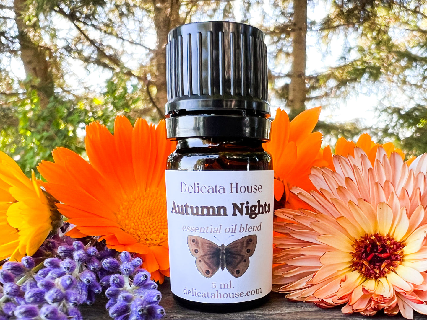 Autumn Nights Aromatherapy Diffuser Blend - Fall Essential Oil Blend - Fall Aromatherapy Blend - Autumn Diffuser Blend