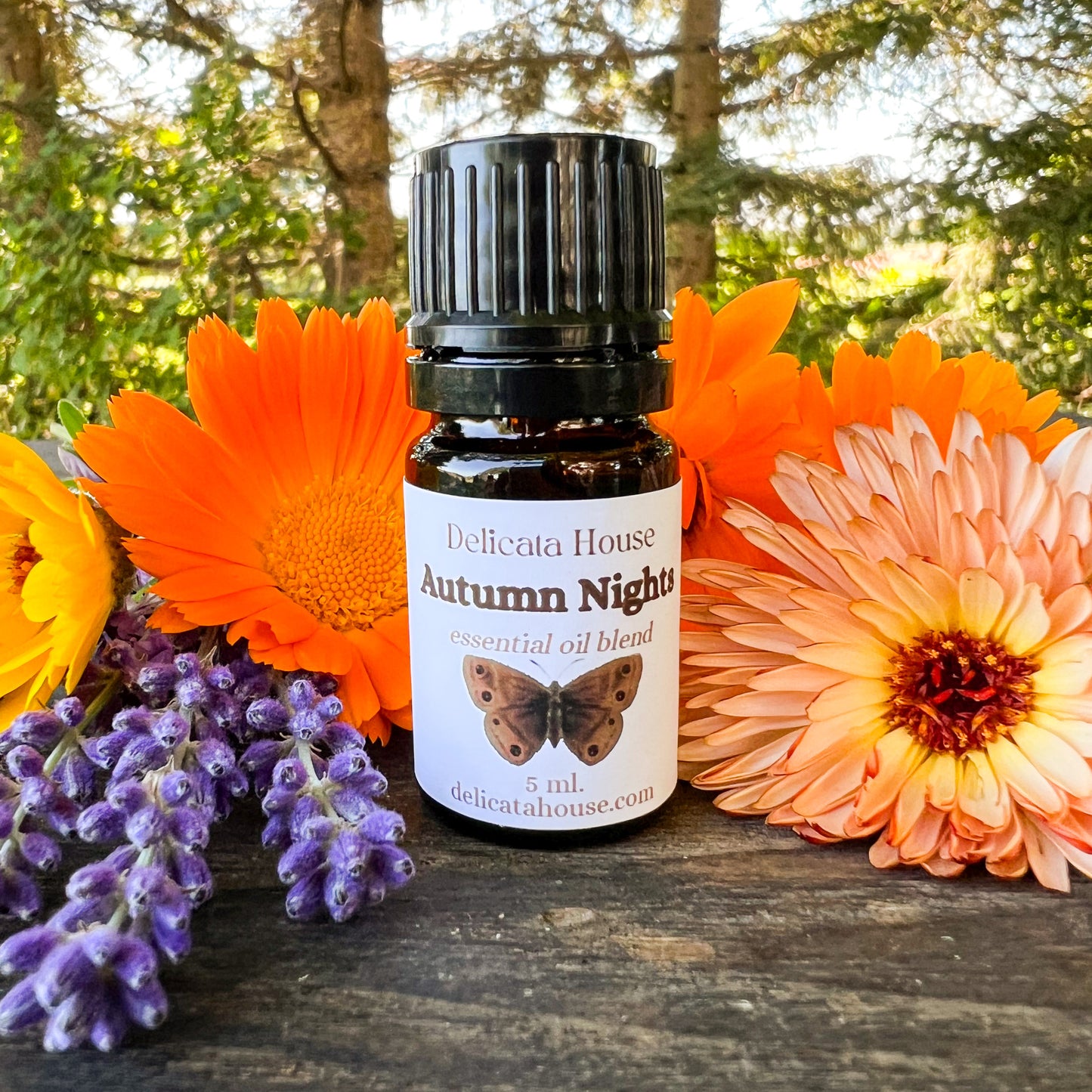 Autumn Nights Aromatherapy Diffuser Blend - Fall Essential Oil Blend - Fall Aromatherapy Blend - Autumn Diffuser Blend