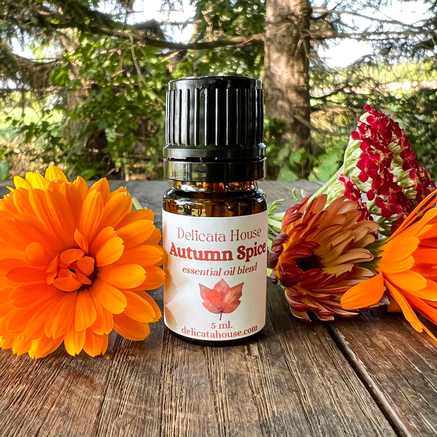 Autumn Spice Essential Oil Blend - Autumn Diffuser Blend - Fall Essential Oils Blend - Spicy Autumn Diffuser Blend
