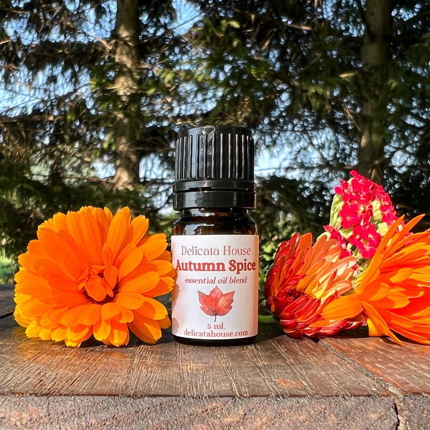 Autumn Spice Essential Oil Blend - Autumn Diffuser Blend - Fall Essential Oils Blend - Spicy Autumn Diffuser Blend