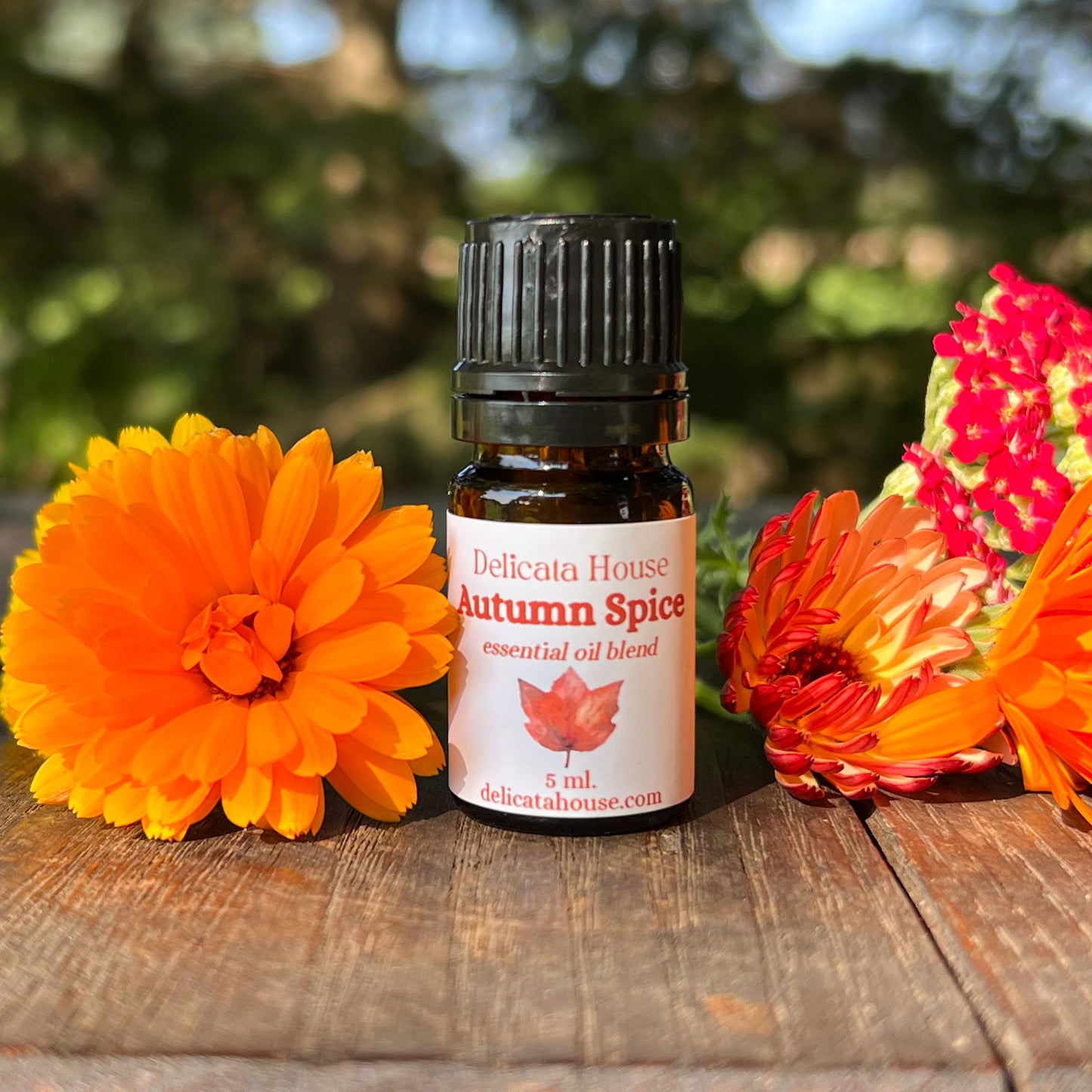 Autumn Spice Essential Oil Blend - Autumn Diffuser Blend - Fall Essential Oils Blend - Spicy Autumn Diffuser Blend
