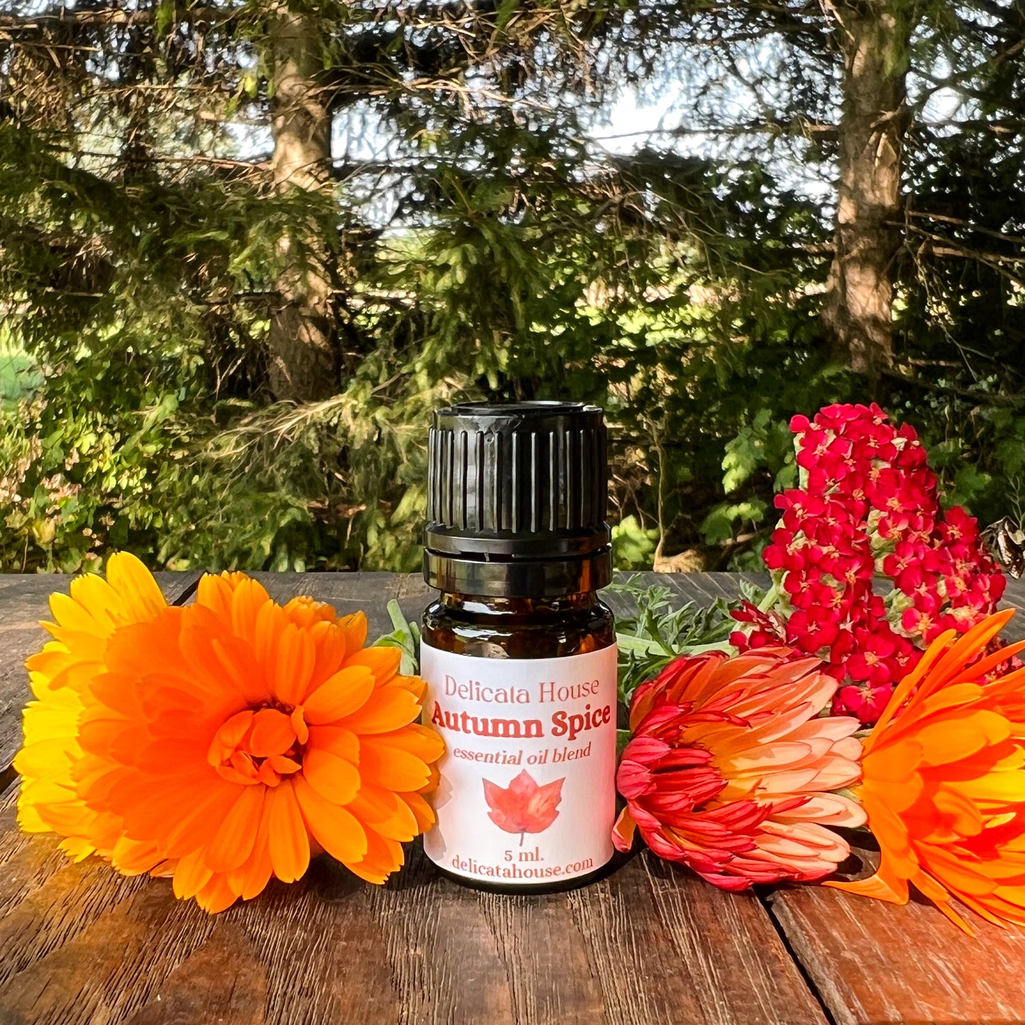 Autumn Spice Essential Oil Blend - Autumn Diffuser Blend - Fall Essential Oils Blend - Spicy Autumn Diffuser Blend