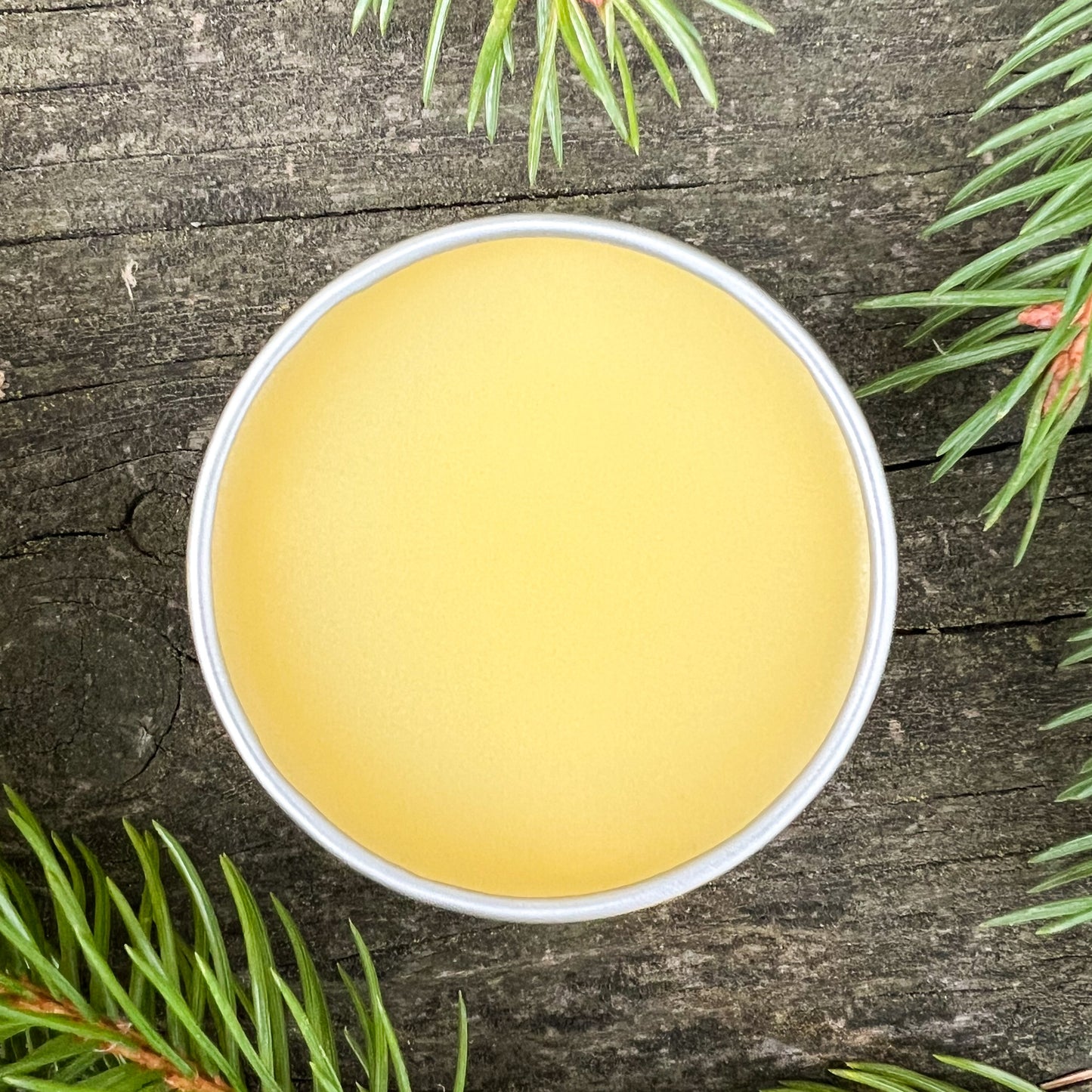 Breathe Well Chest Rub with White Spruce, Scots Pine & Bay Laurel - decongestant - natural cold care - natural cold and cough support