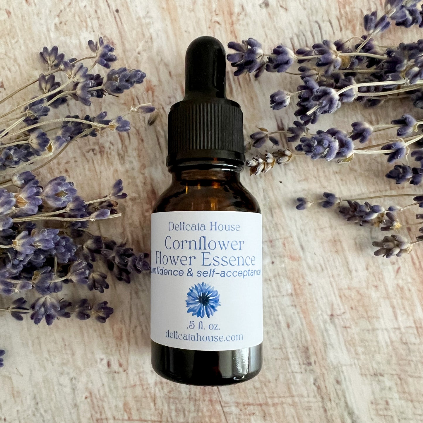 Cornflower Flower Essence - Cornflower Flower Remedy - Throat Chakra - 5th Chakra Support - Third Eye Chakra - 6th Chakra Support