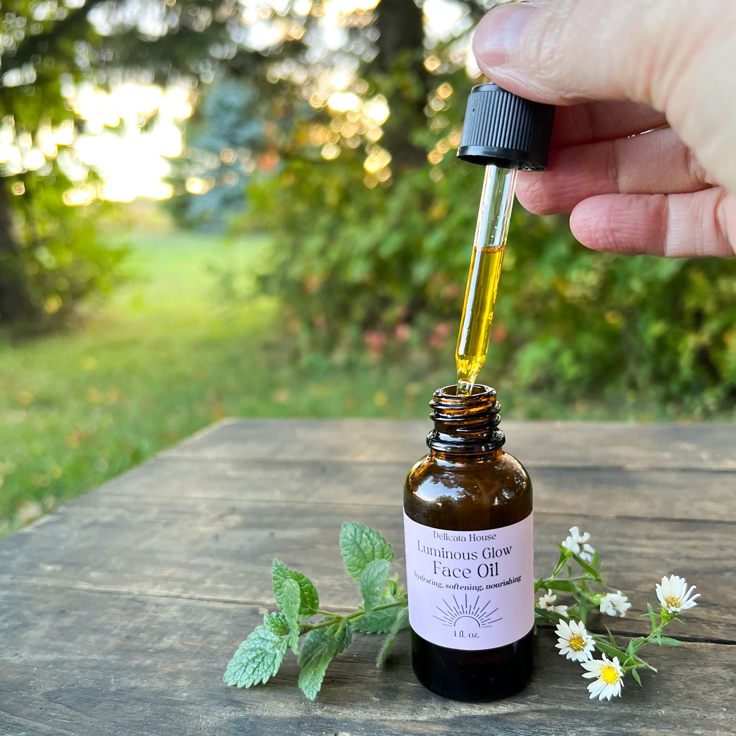 Luminous Glow Face Oil - Hydrating, Softening, Nourishing - Natural Moisturizing Face Oil
