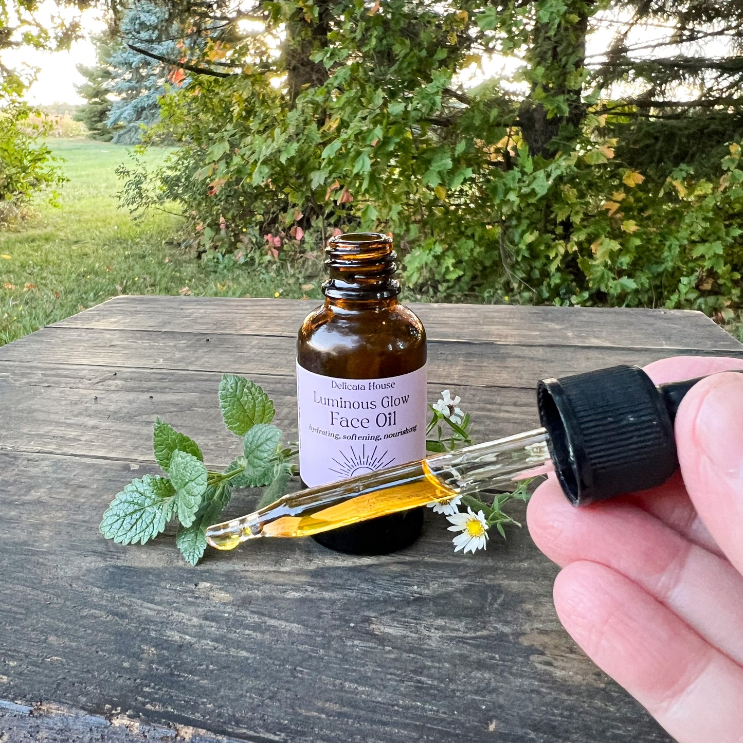 Luminous Glow Face Oil - Hydrating, Softening, Nourishing - Natural Moisturizing Face Oil