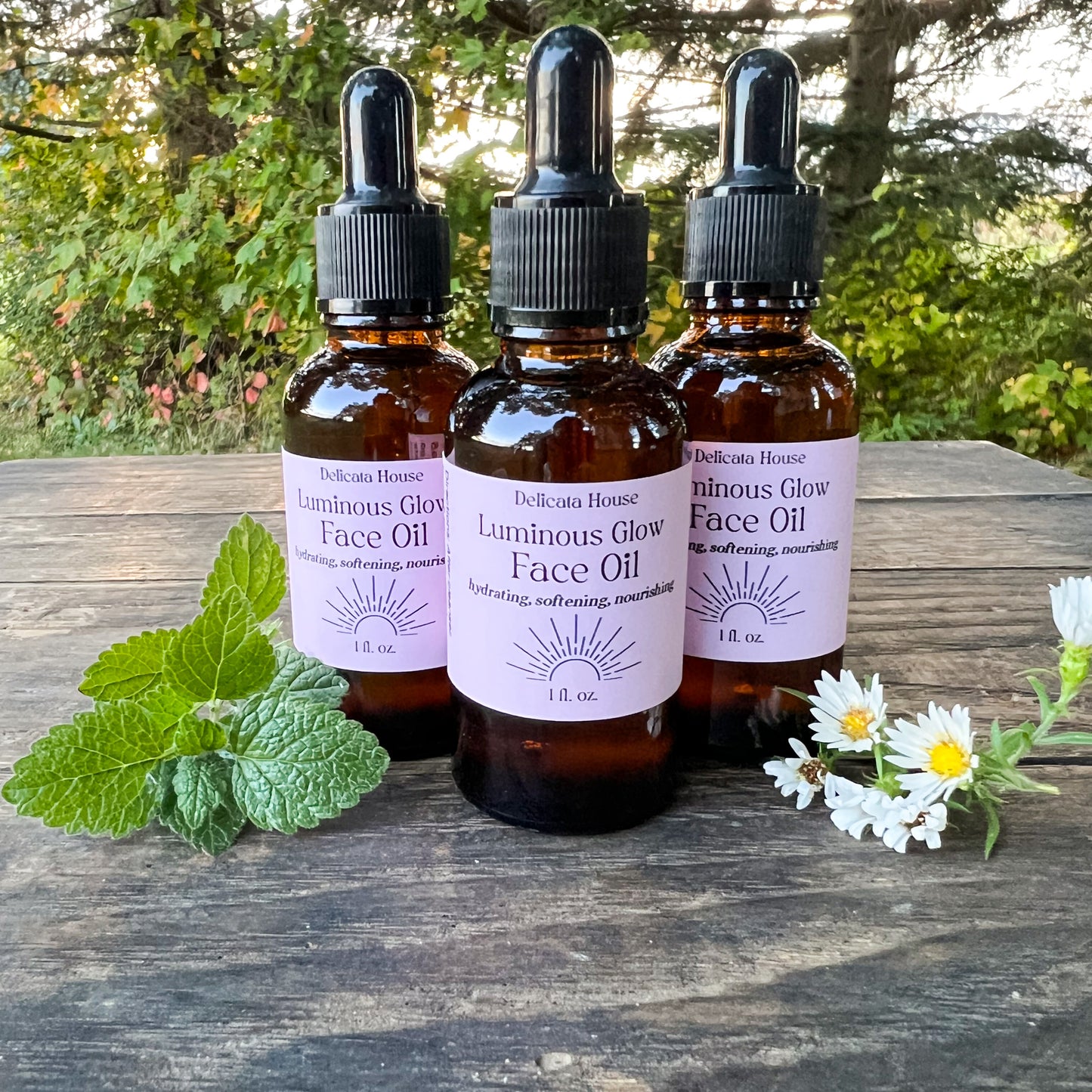 Luminous Glow Face Oil - Hydrating, Softening, Nourishing - Natural Moisturizing Face Oil