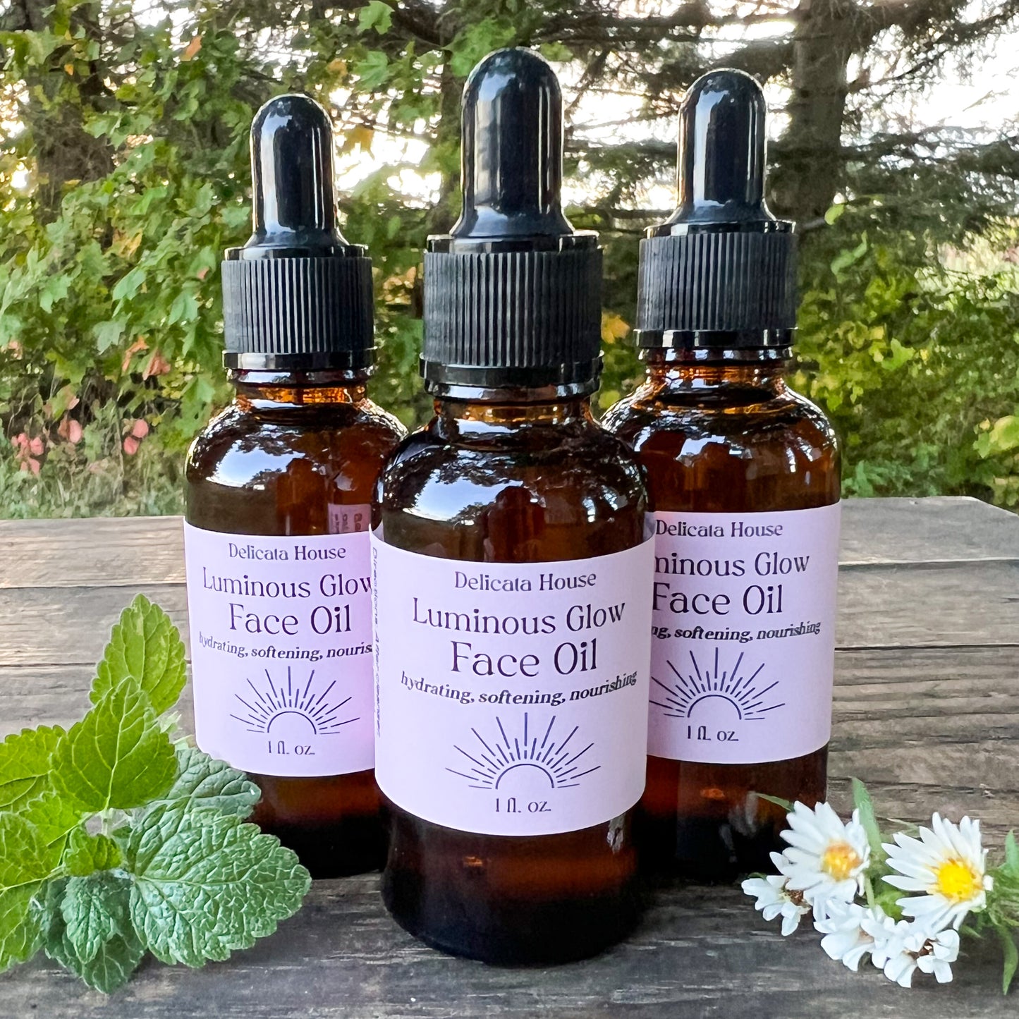 Luminous Glow Face Oil - Hydrating, Softening, Nourishing - Natural Moisturizing Face Oil
