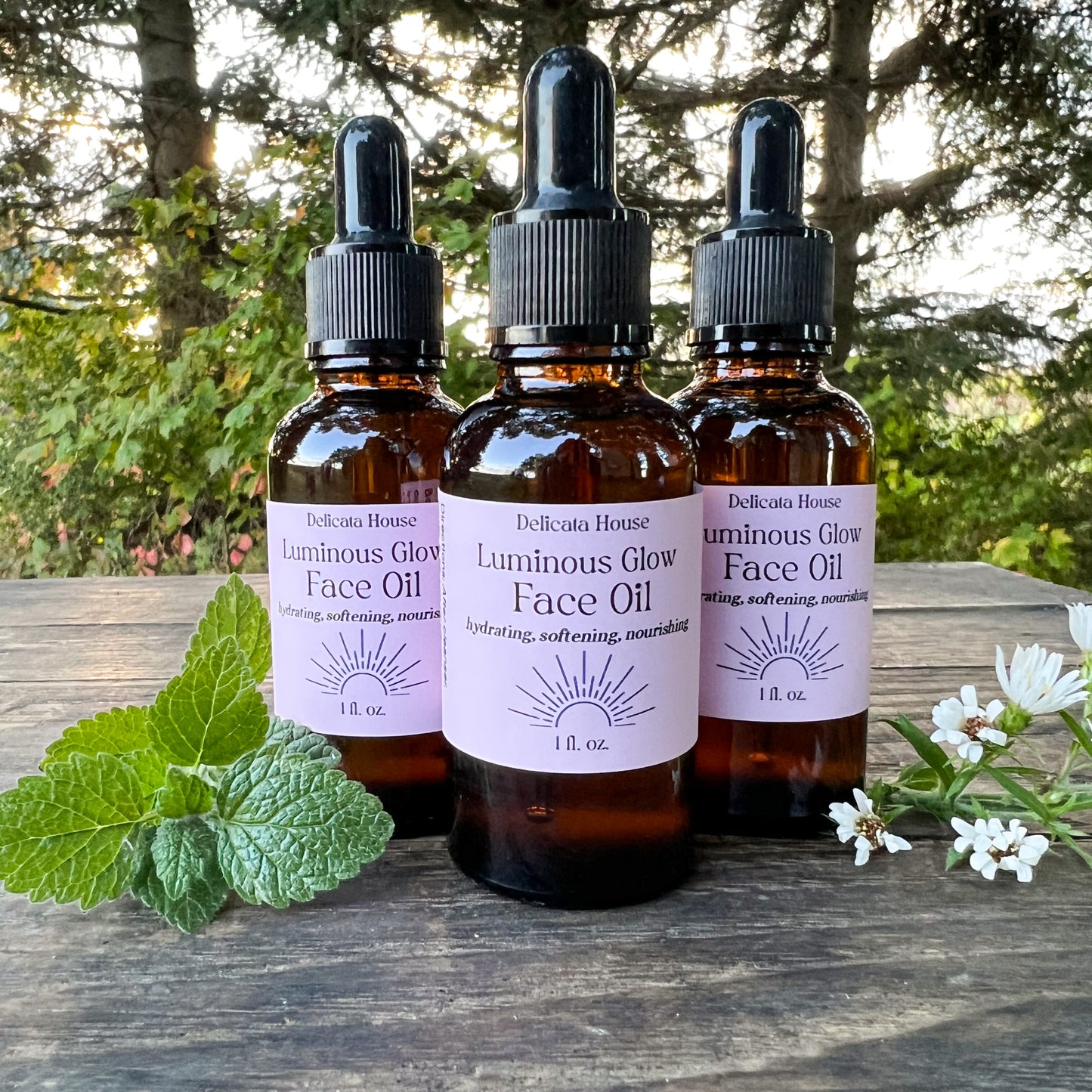 Luminous Glow Face Oil - Hydrating, Softening, Nourishing - Natural Moisturizing Face Oil
