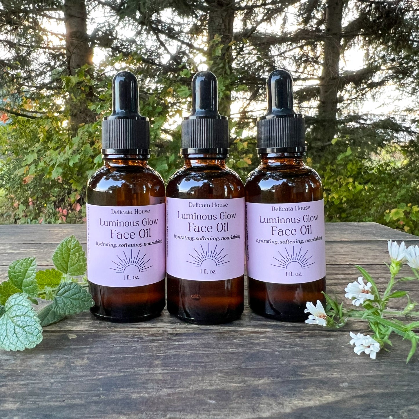 Luminous Glow Face Oil - Hydrating, Softening, Nourishing - Natural Moisturizing Face Oil