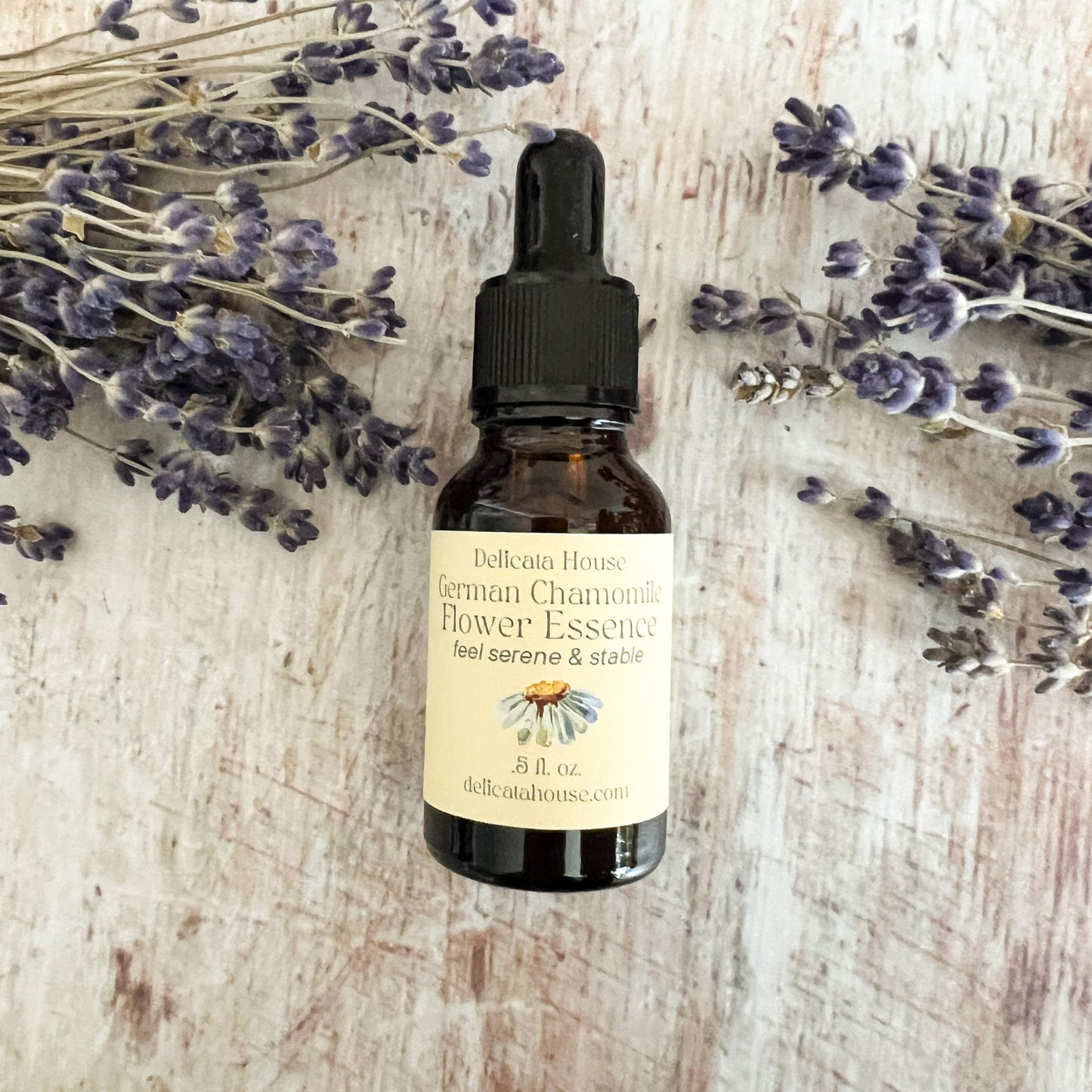 German Chamomile Flower Essence - Flower Essence for Serenity and Stability