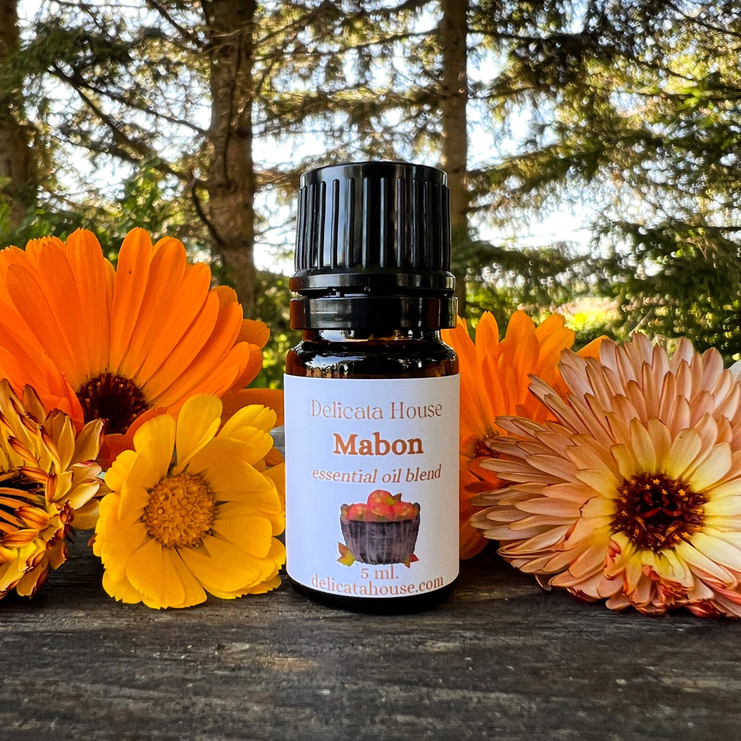 Mabon Essential Oil Blend - Autumnal Equinox Aromatherapy - Harvest Festival - Spicy, Sweet, Fall Fragrance