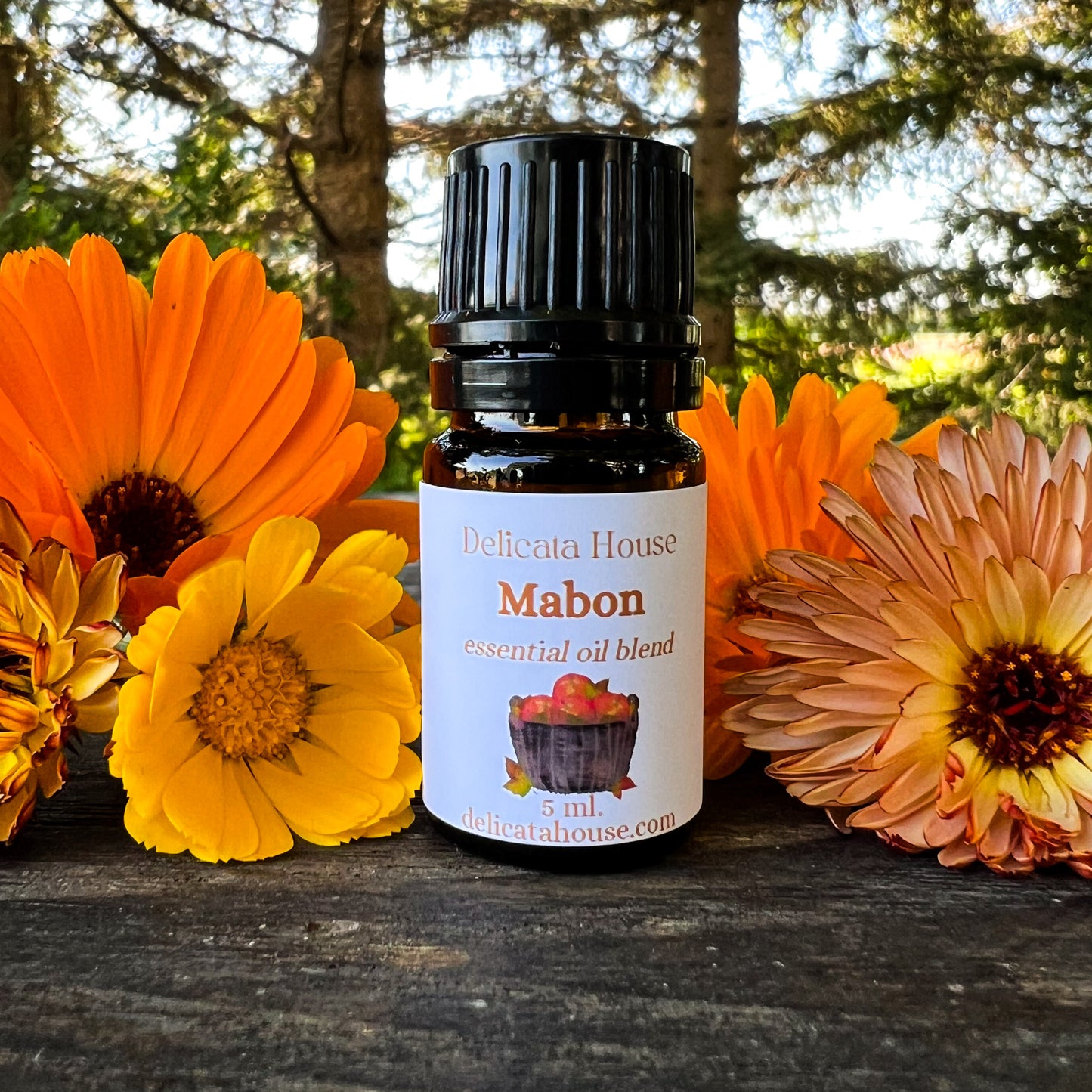 Mabon Essential Oil Blend - Autumnal Equinox Aromatherapy - Harvest Festival - Spicy, Sweet, Fall Fragrance