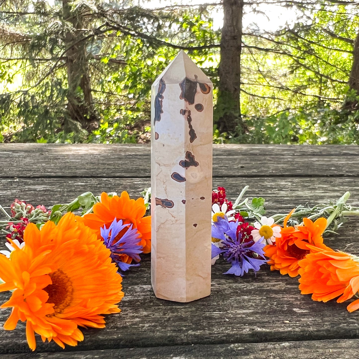 Picture Jasper Crystal Tower - Nurturing Crystal - Grounding Crystal - Comforting Gemstone