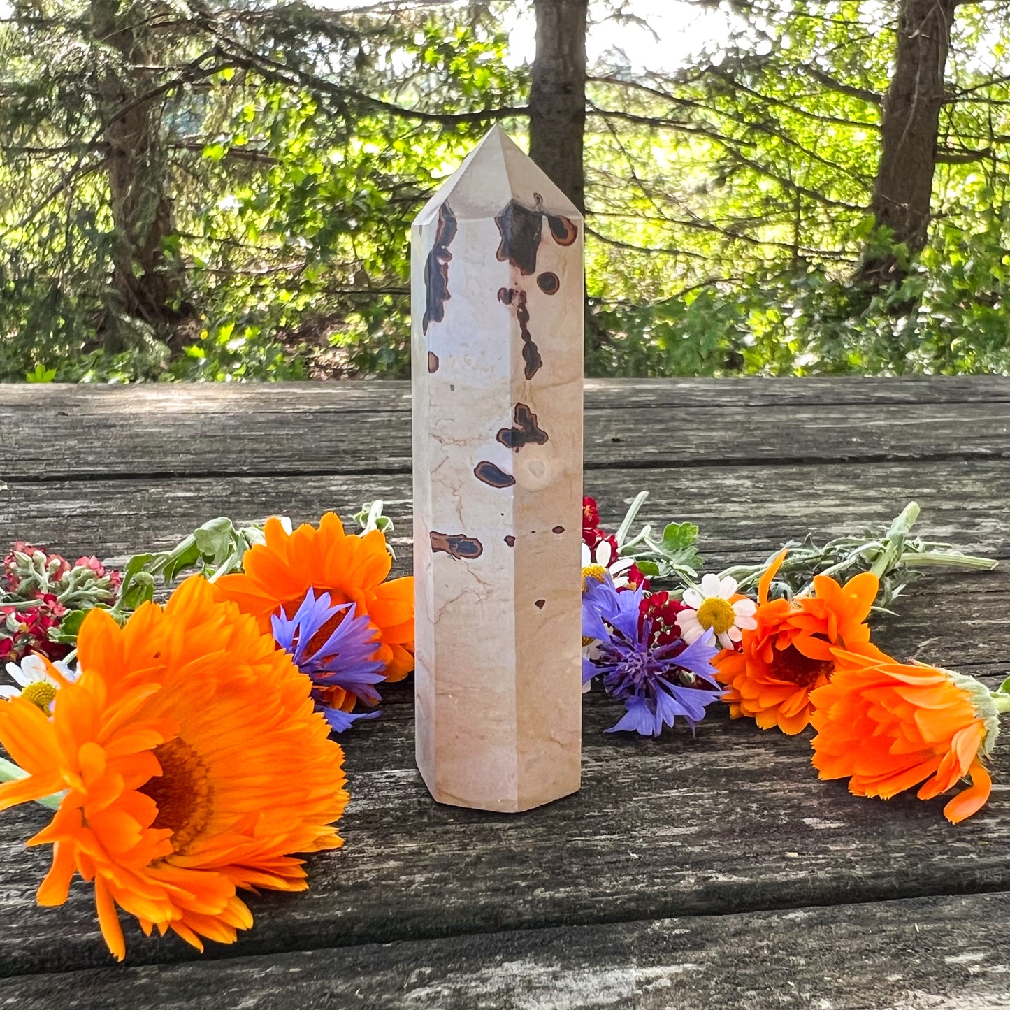 Picture Jasper Crystal Tower - Nurturing Crystal - Grounding Crystal - Comforting Gemstone