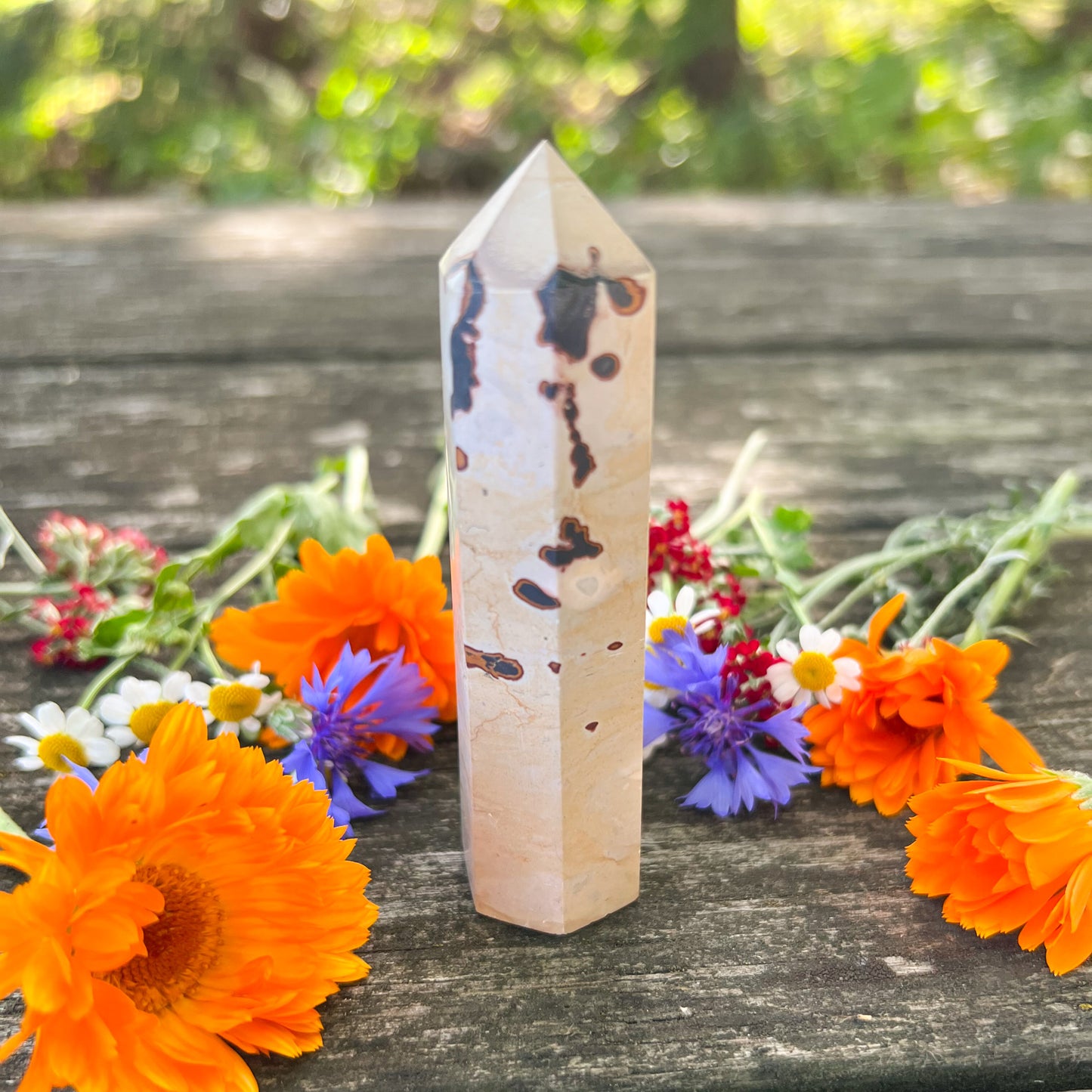 Picture Jasper Crystal Tower - Nurturing Crystal - Grounding Crystal - Comforting Gemstone
