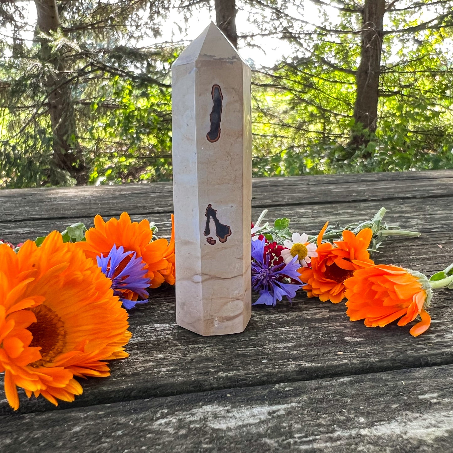 Picture Jasper Crystal Tower - Nurturing Crystal - Grounding Crystal - Comforting Gemstone