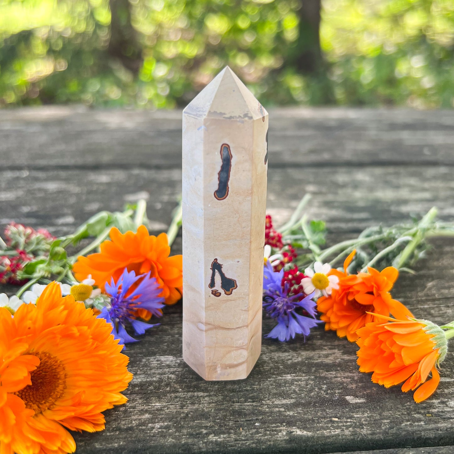 Picture Jasper Crystal Tower - Nurturing Crystal - Grounding Crystal - Comforting Gemstone