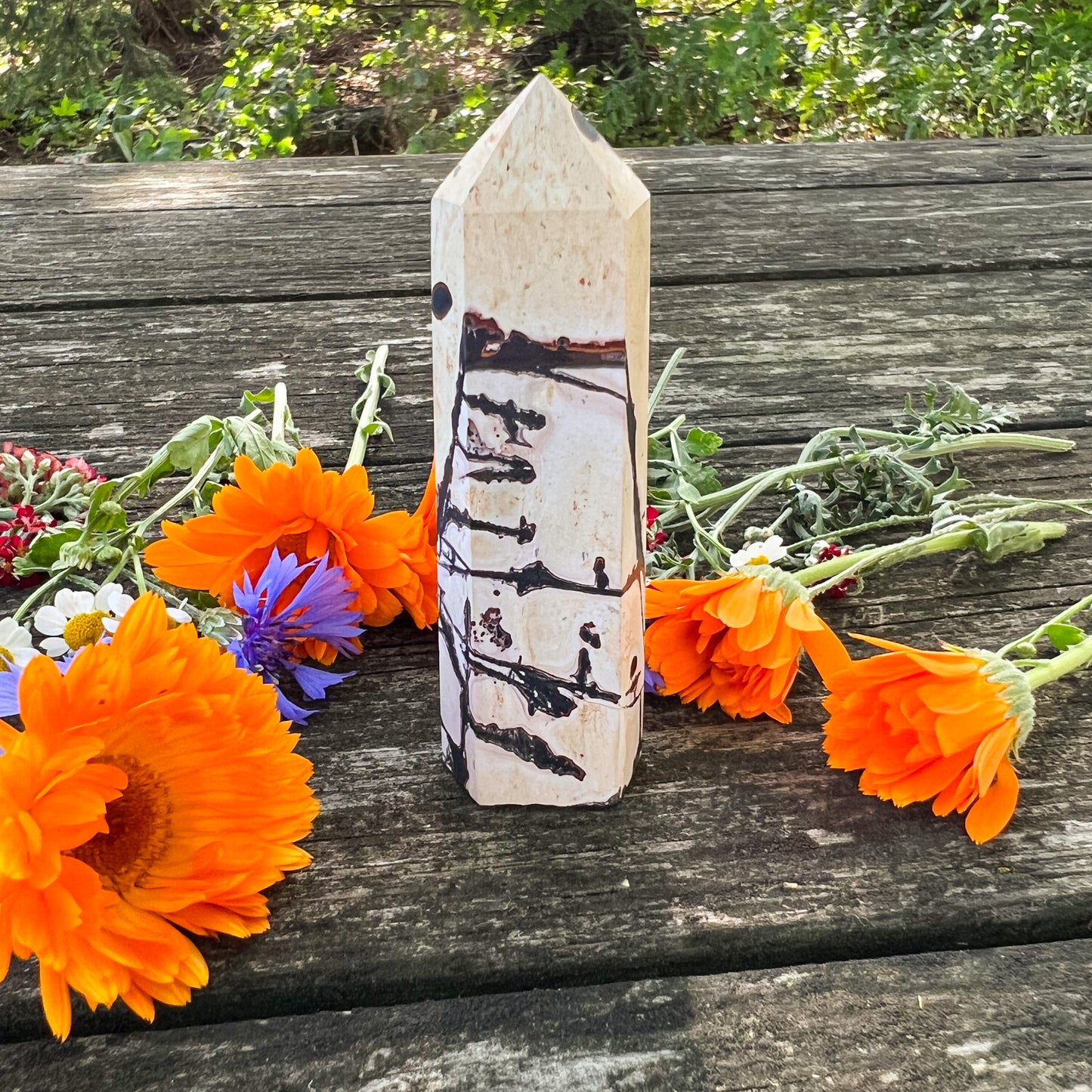 Picture Jasper Crystal Tower - Nurturing Crystal - Grounding Crystal - Comforting Gemstone