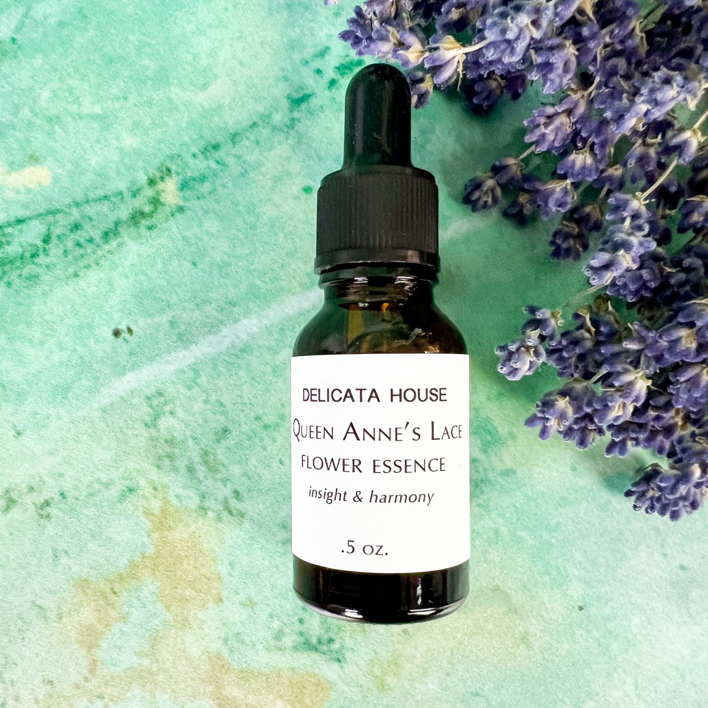 Queen Anne's Lace Flower Essence - Flower Essence for insight and harmony