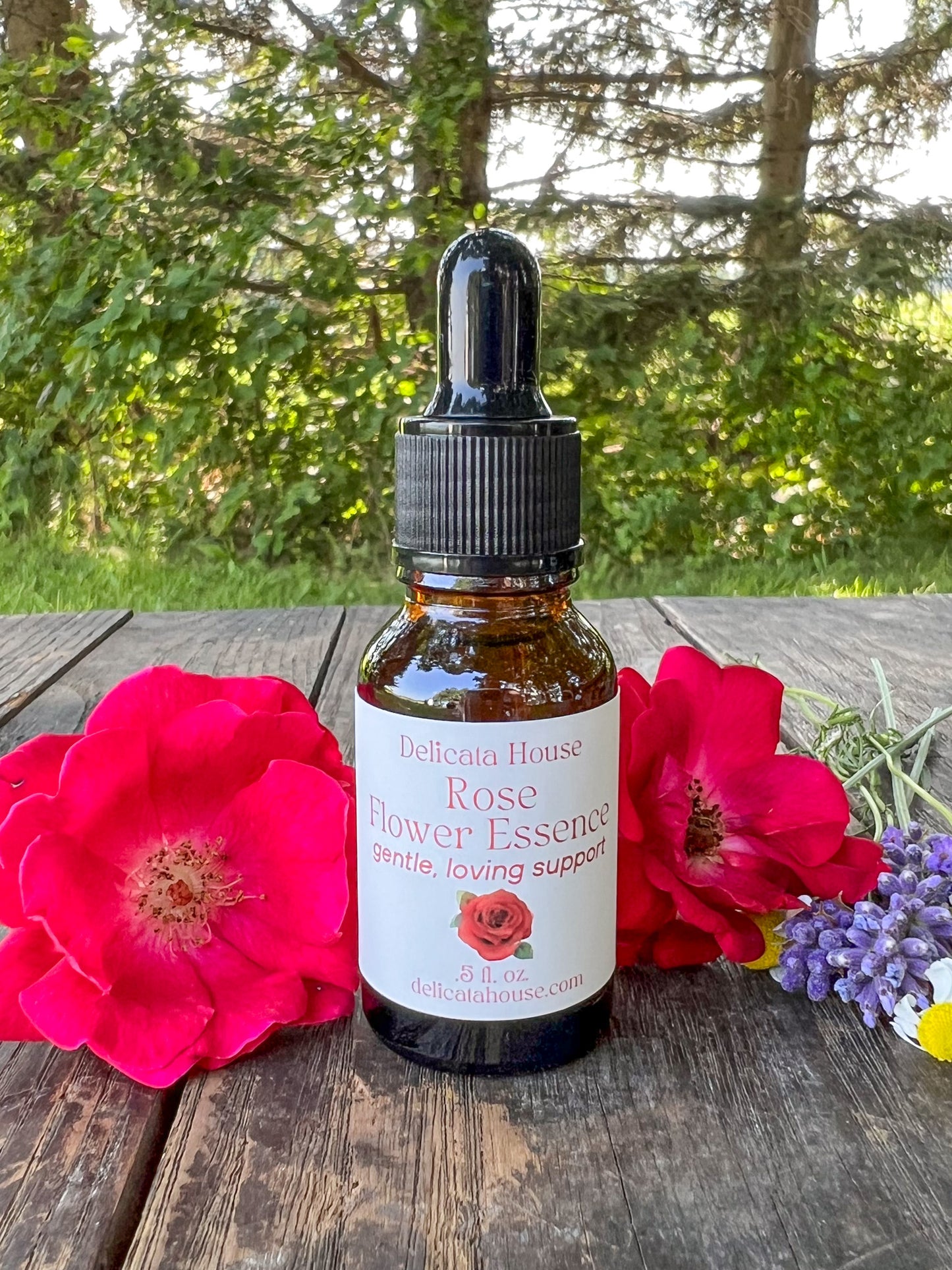 Rose Flower Essence - Rose Flower Remedy - 4th Chakra Support - Heart Chakra Support - Rose Flower Elixir - Flower Essence