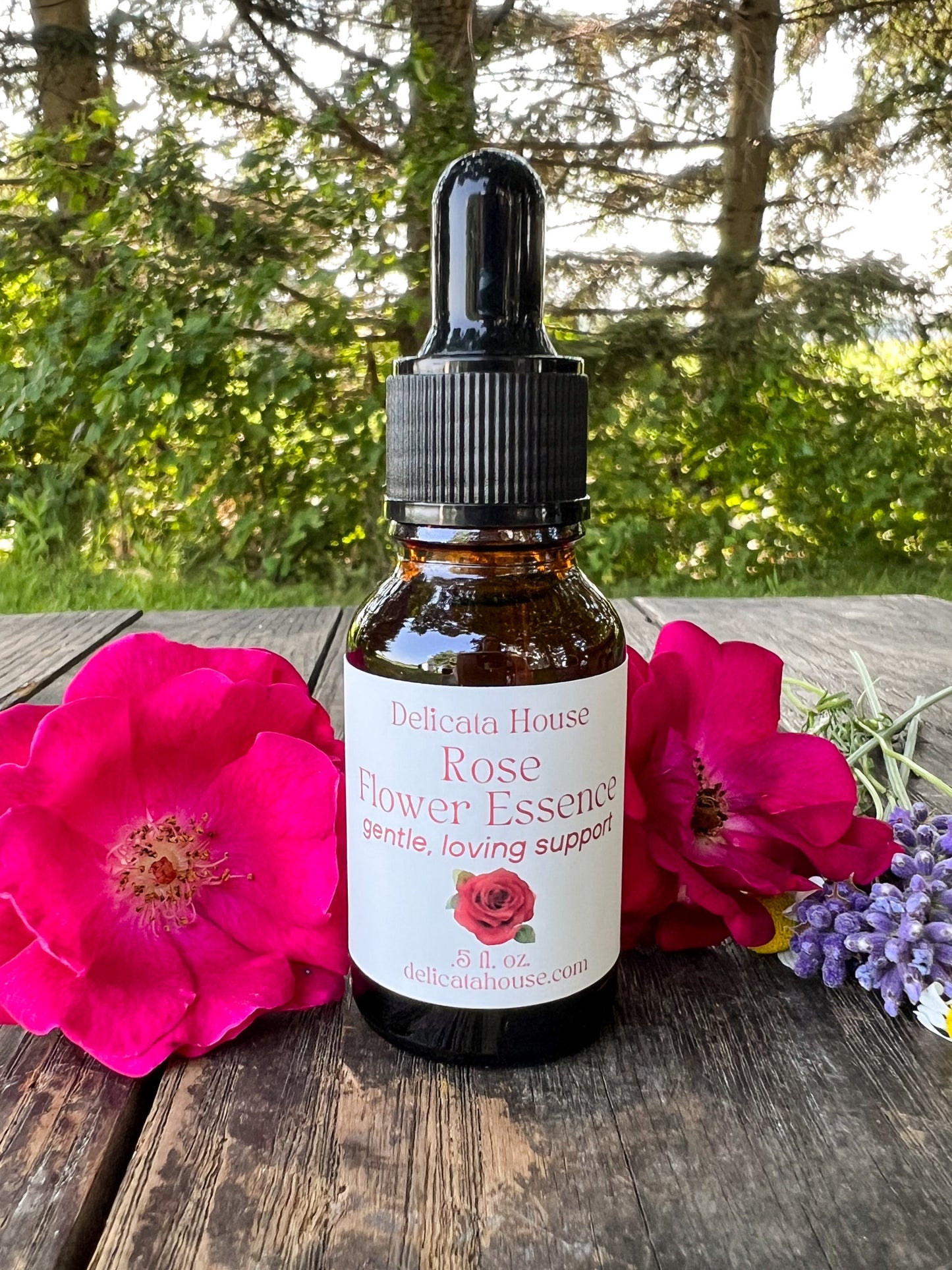 Rose Flower Essence - Rose Flower Remedy - 4th Chakra Support - Heart Chakra Support - Rose Flower Elixir - Flower Essence