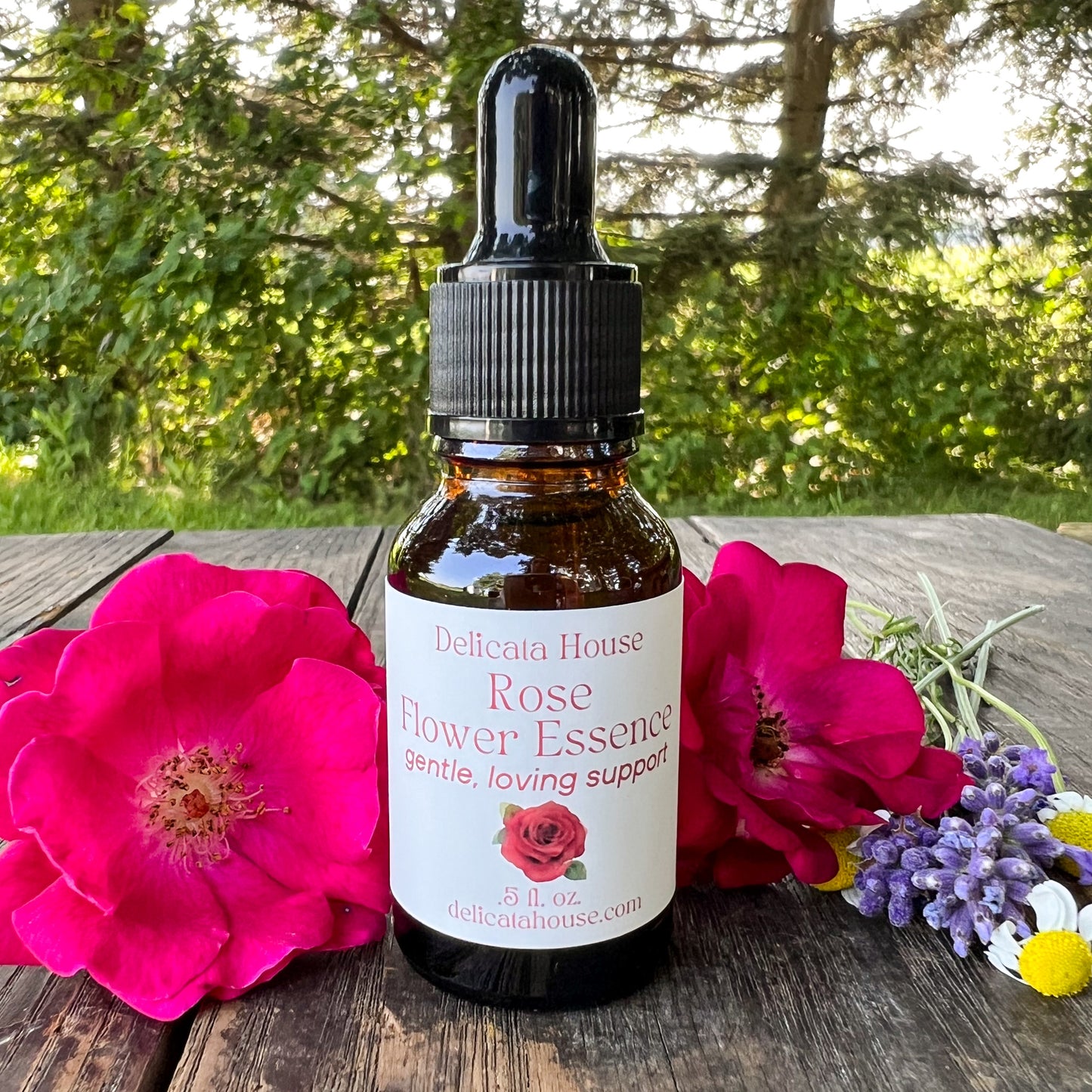 Rose Flower Essence - Rose Flower Remedy - 4th Chakra Support - Heart Chakra Support - Rose Flower Elixir - Flower Essence
