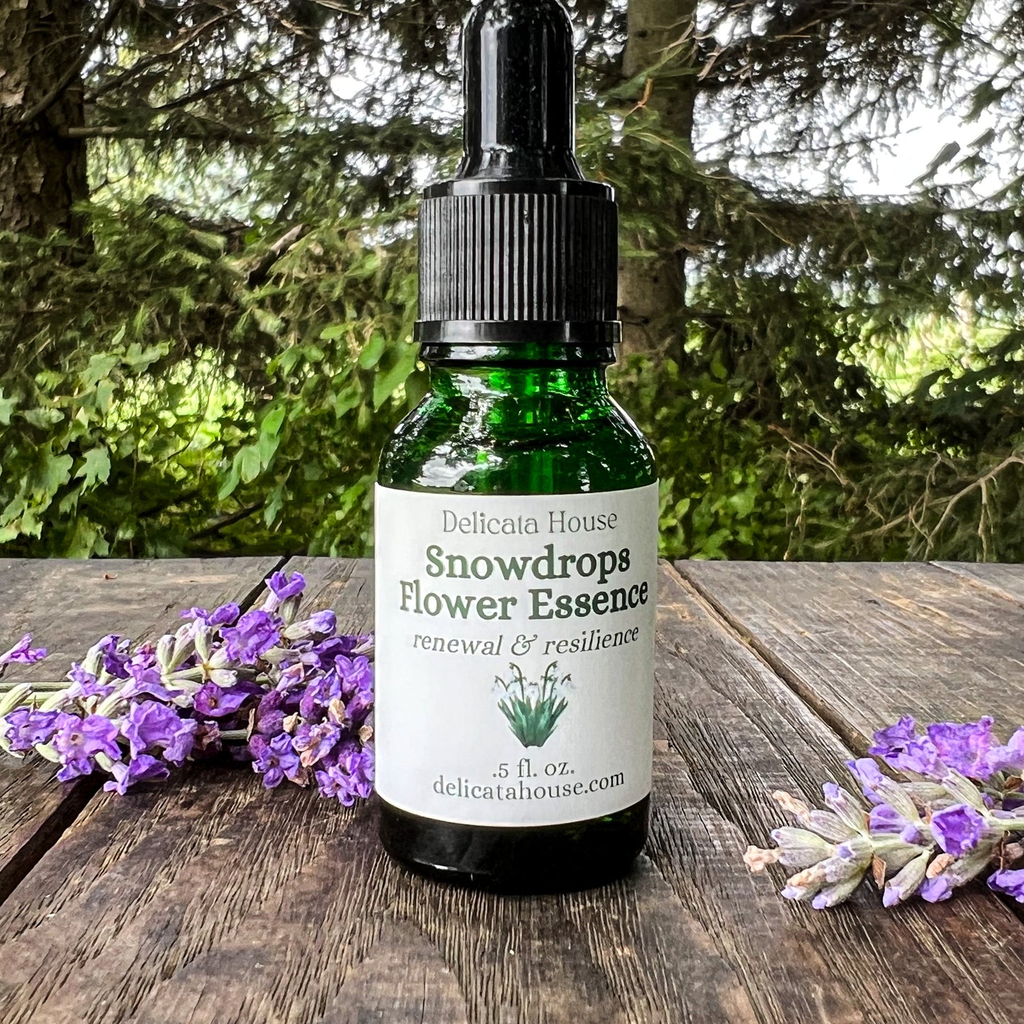 Snowdrops Flower Essence - Imbolc - Brigid's Day - Snowdrops Flower Remedy - Flower Medicine Gift