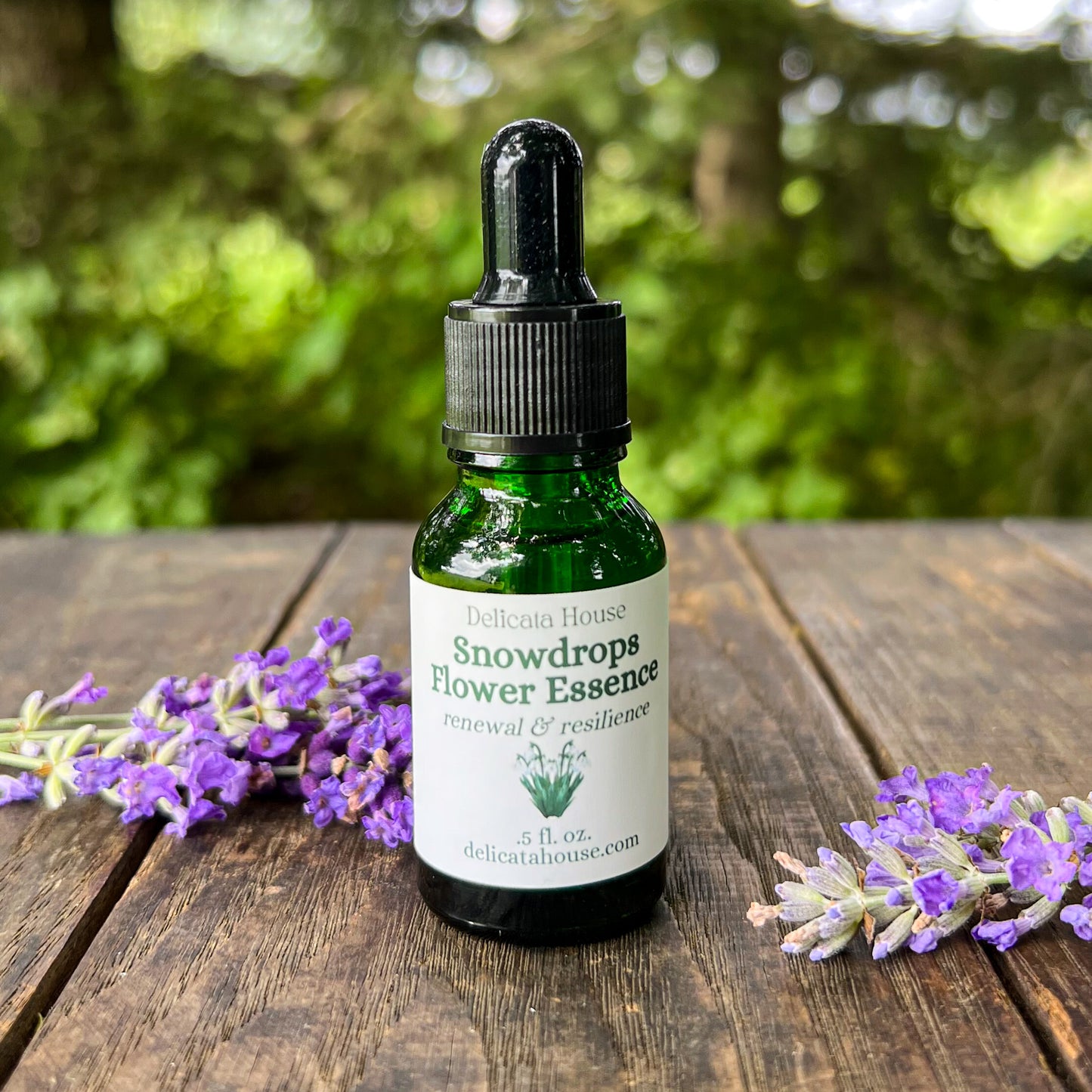 Snowdrops Flower Essence - Imbolc - Brigid's Day - Snowdrops Flower Remedy - Flower Medicine Gift