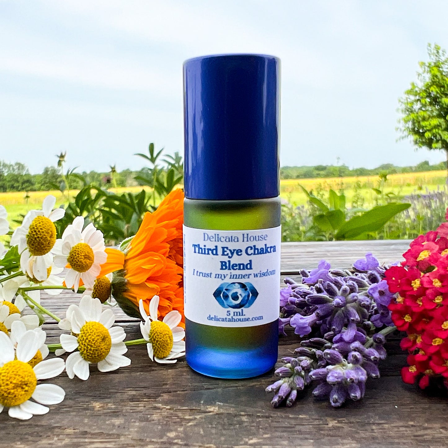 Third Eye Chakra Roller & Crystal Set - 6th Chakra Healing Set - 6th Chakra Balancing - Third Eye Chakra Healing