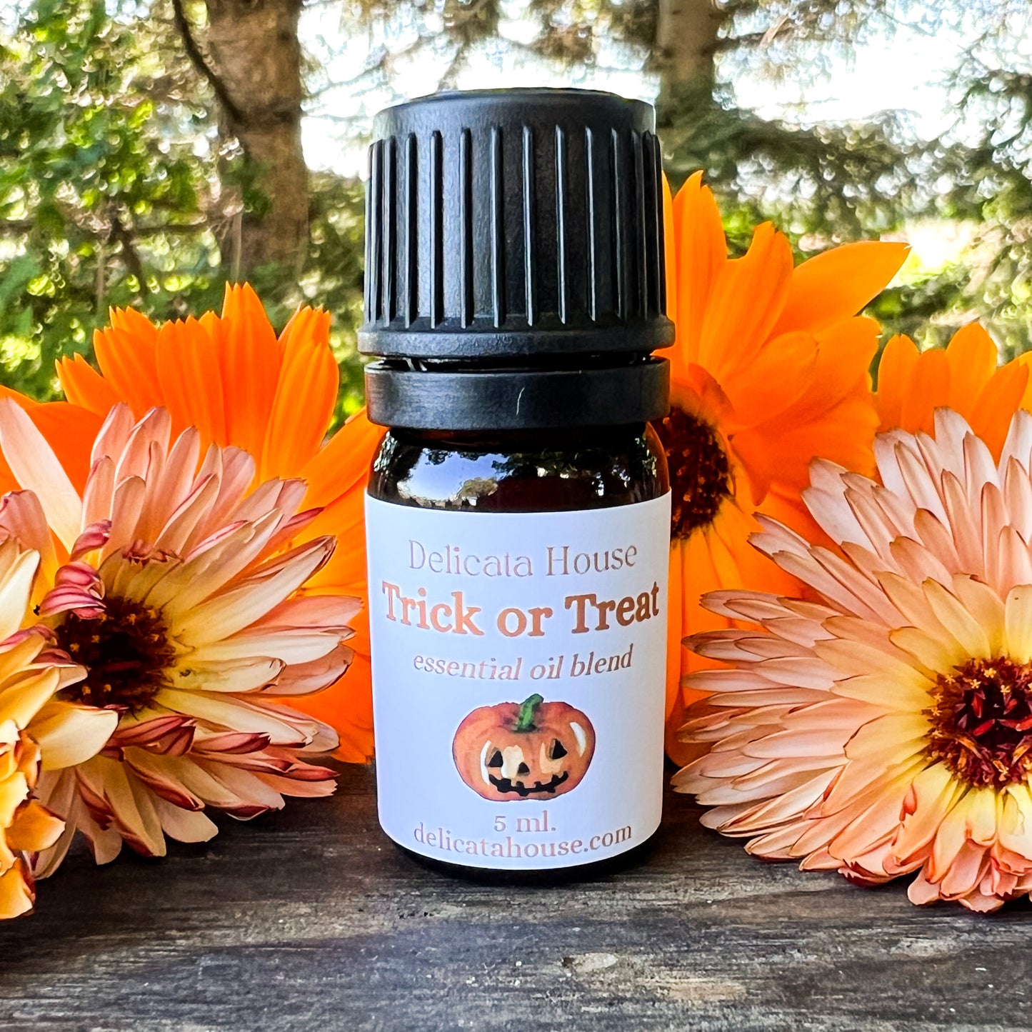 Trick or Treat Aromatherapy Essential Oil Blend - Autumn Diffuser Blend - Fall Diffuser Blend