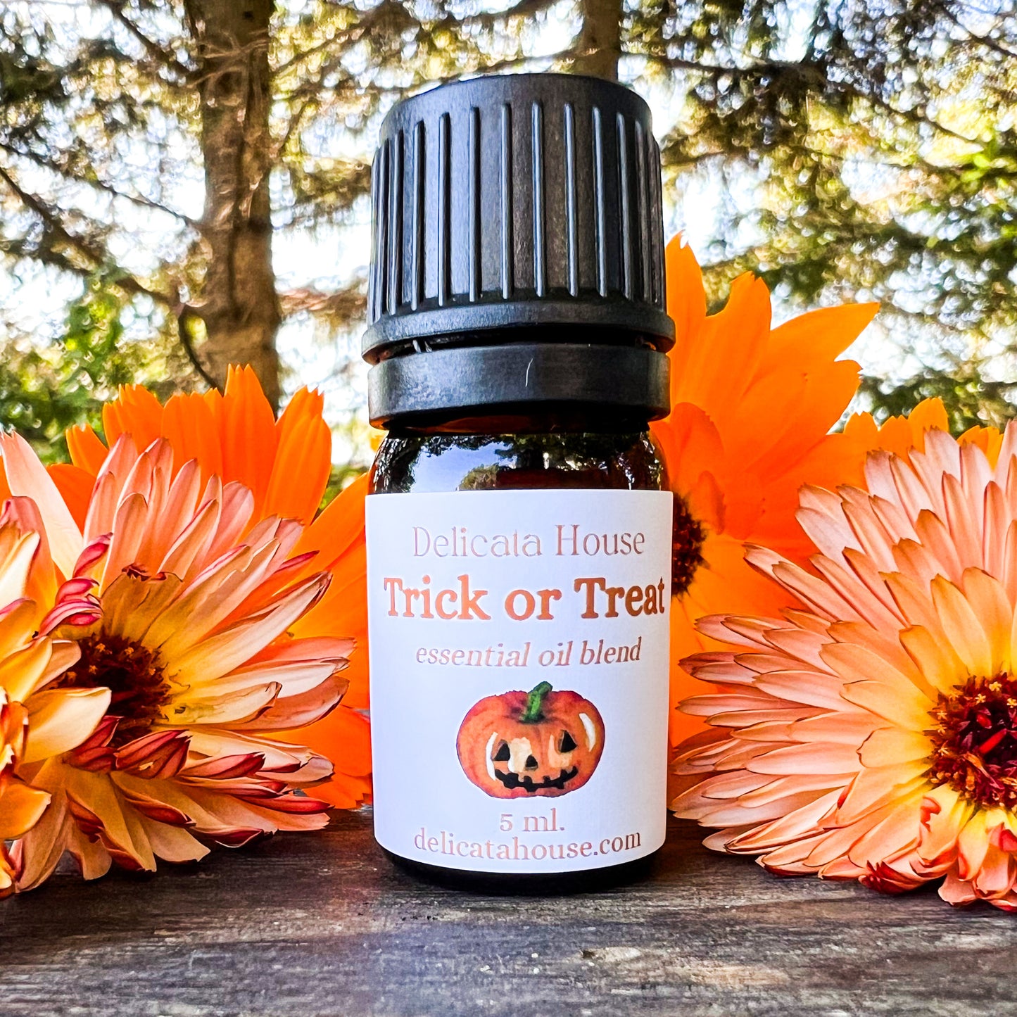 Trick or Treat Aromatherapy Essential Oil Blend - Autumn Diffuser Blend - Fall Diffuser Blend