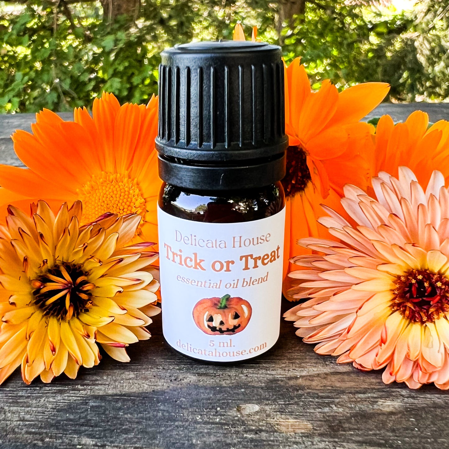 Trick or Treat Aromatherapy Essential Oil Blend - Autumn Diffuser Blend - Fall Diffuser Blend