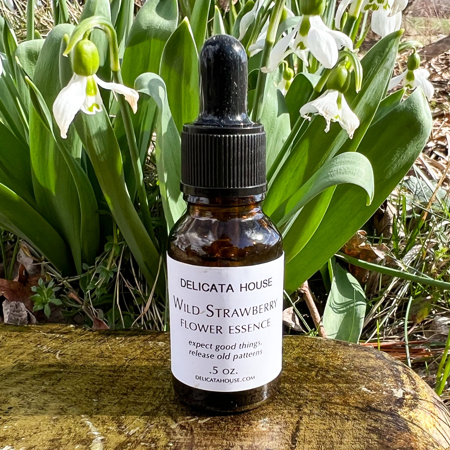 Wild Strawberry Flower Essence - Wild Strawberry Flower Remedy
