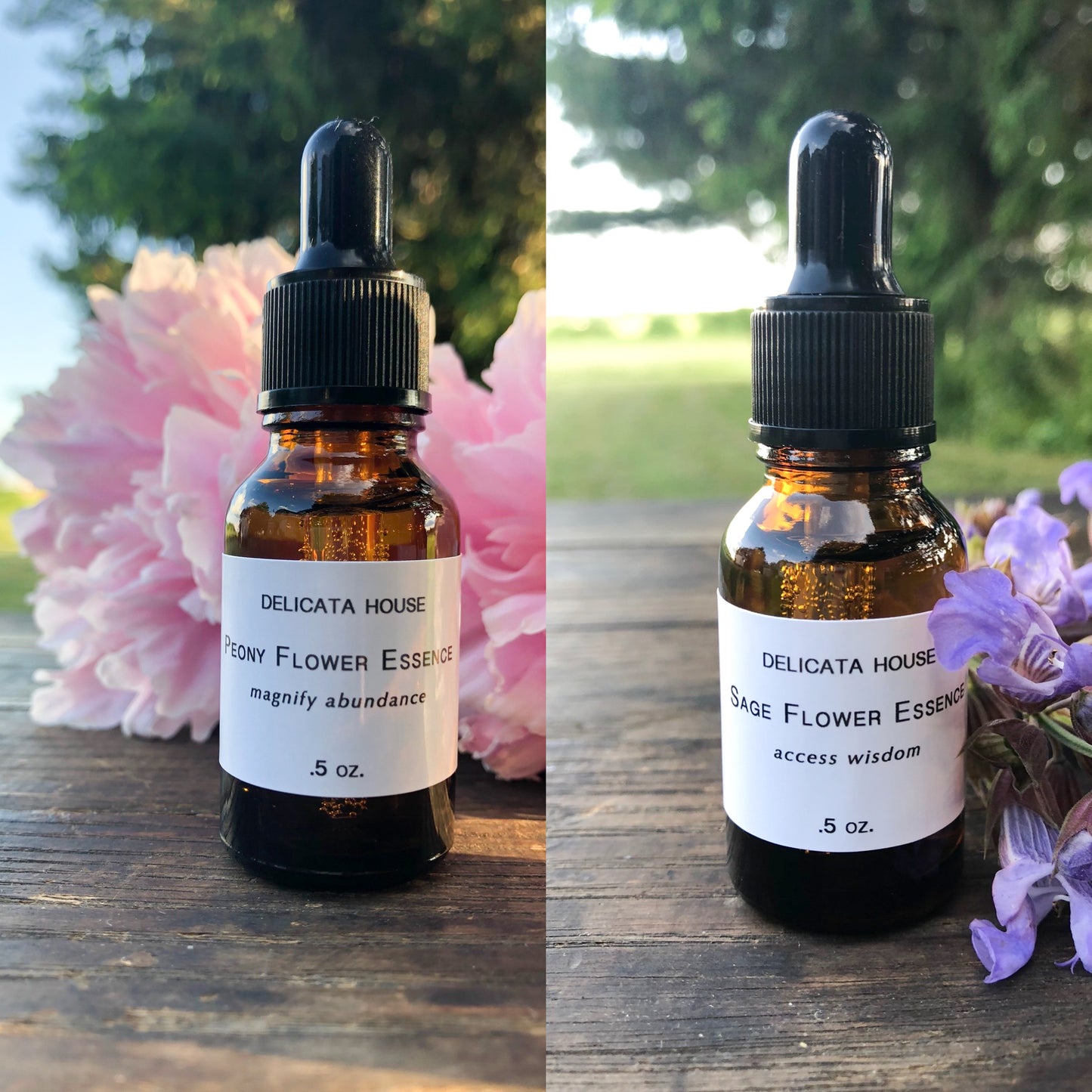 Flower Essence Set - Peony Flower Essence & Sage Flower Essence Set of 2 - Sage Flower Essence - Peony Flower Essence - Flower Remedies - Flower Essence Gift Set - Chakra Support - Third Eye Chakra Balance - Root Chakra Balance