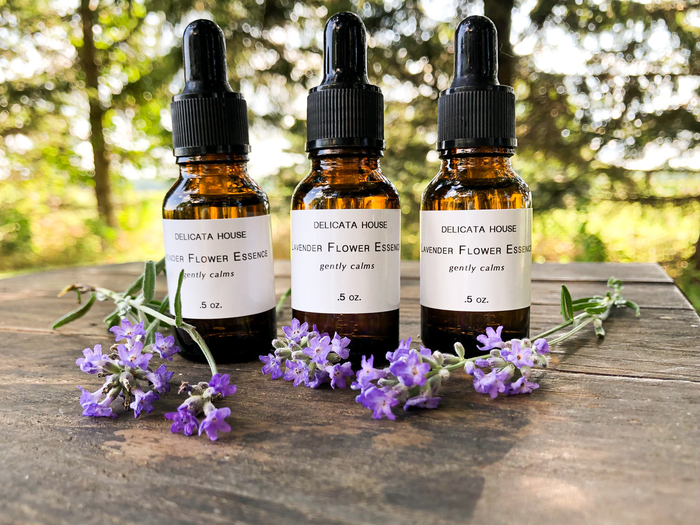 Lavender Flower Essence - Lavender Flower Remedy - Third Eye Chakra Support - Crown Chakra Support - Calming Flower Support