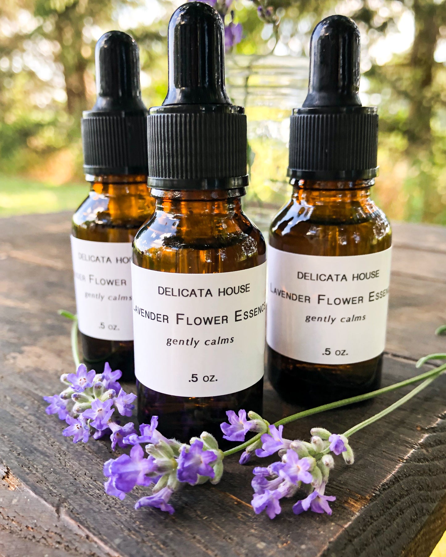 Lavender Flower Essence - Lavender Flower Remedy - Third Eye Chakra Support - Crown Chakra Support - Calming Flower Support