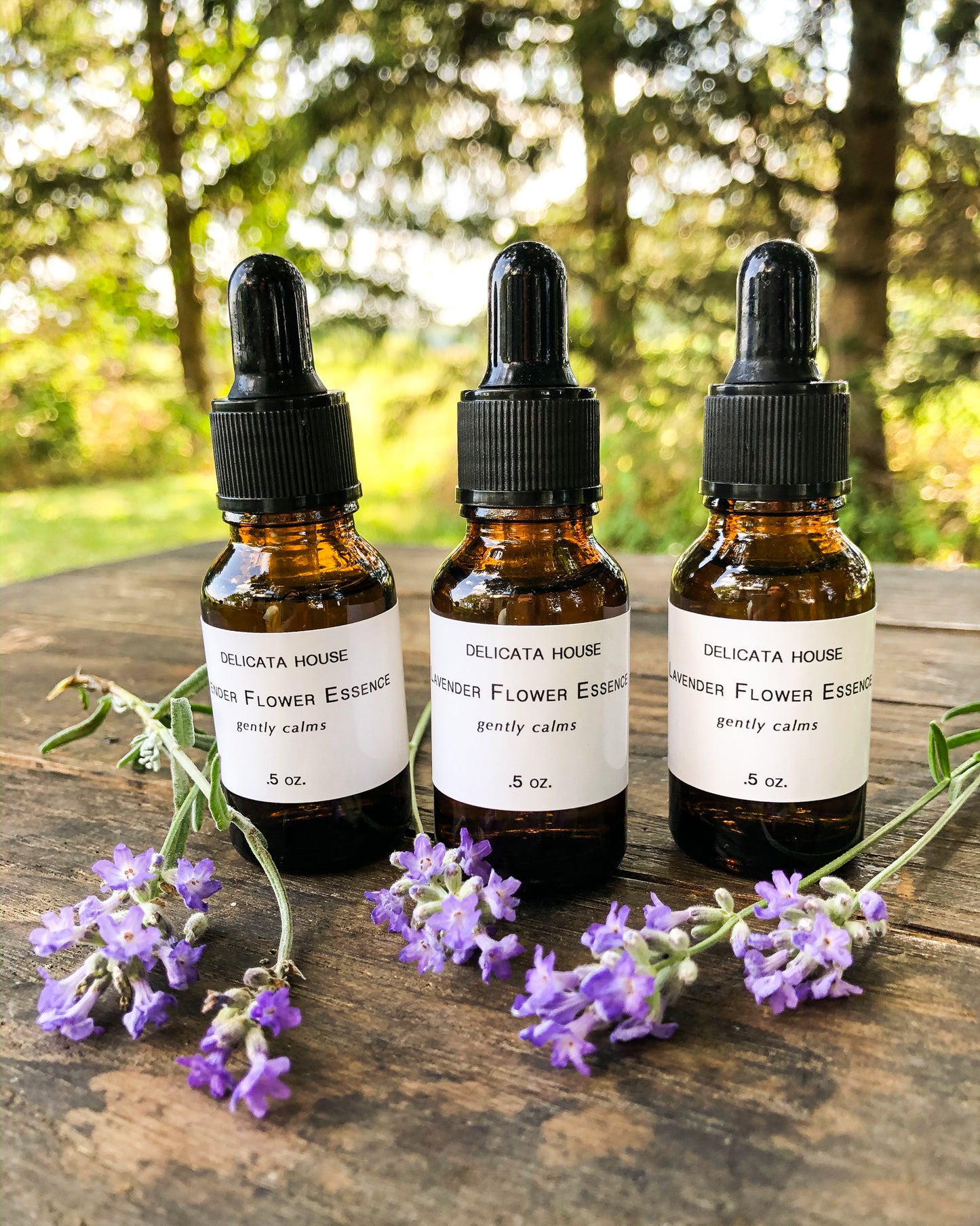 Lavender Flower Essence - Lavender Flower Remedy - Third Eye Chakra Support - Crown Chakra Support - Calming Flower Support