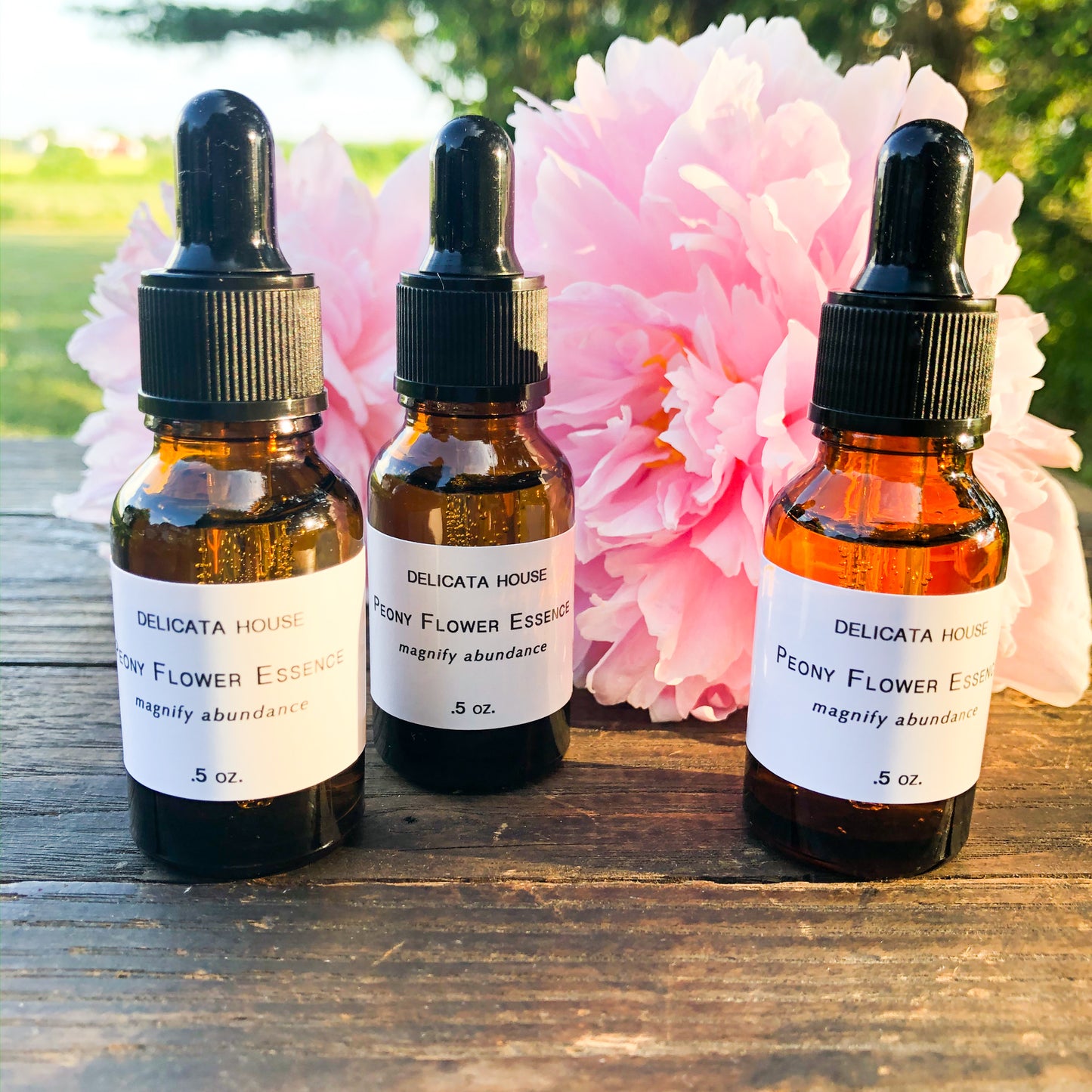 Flower Essence Set - Peony Flower Essence & Sage Flower Essence Set of 2 - Sage Flower Essence - Peony Flower Essence - Flower Remedies - Flower Essence Gift Set - Chakra Support - Third Eye Chakra Balance - Root Chakra Balance