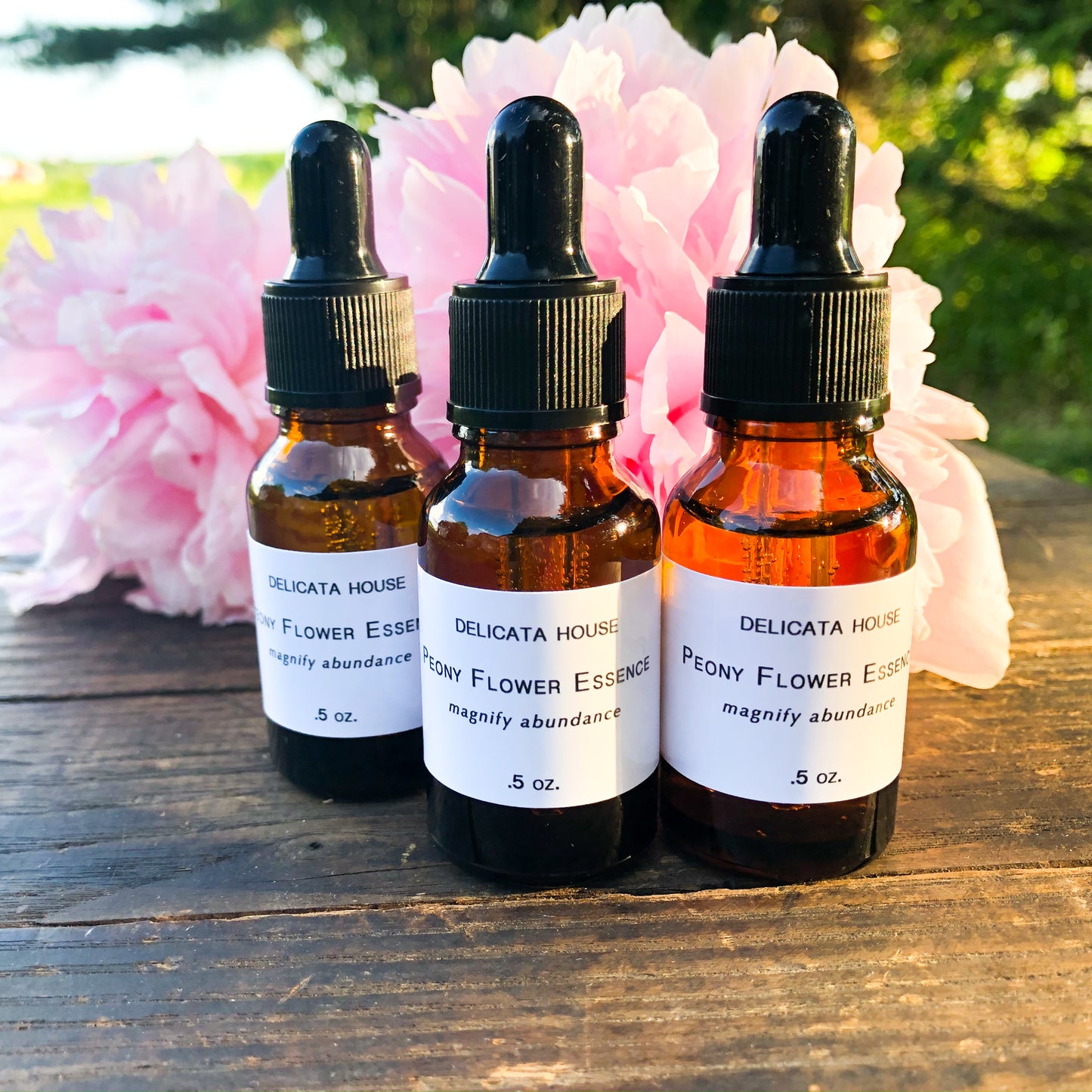 Peony Flower Essence - Flower Remedy - 1st Chakra Balancing - Root Chakra - Magnify Abundance -