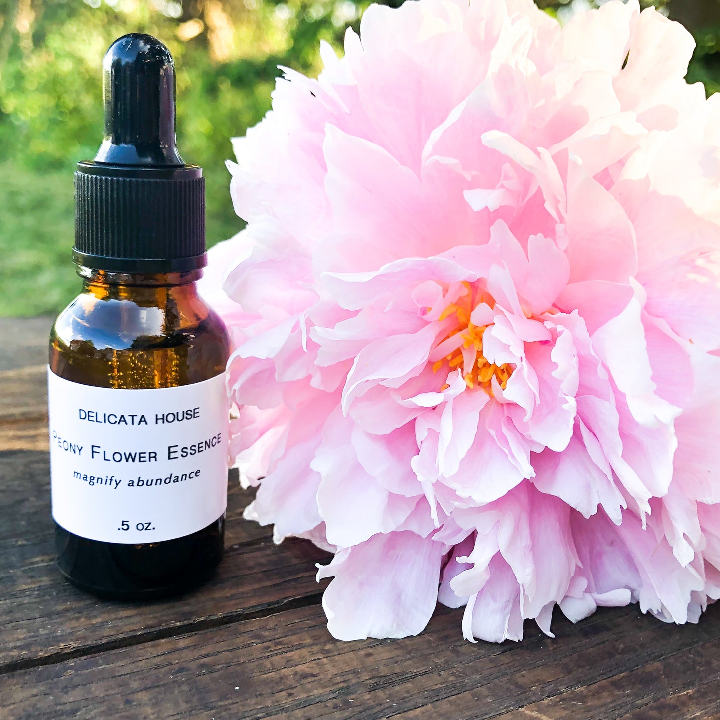 Peony Flower Essence - Flower Remedy - 1st Chakra Balancing - Root Chakra - Magnify Abundance -