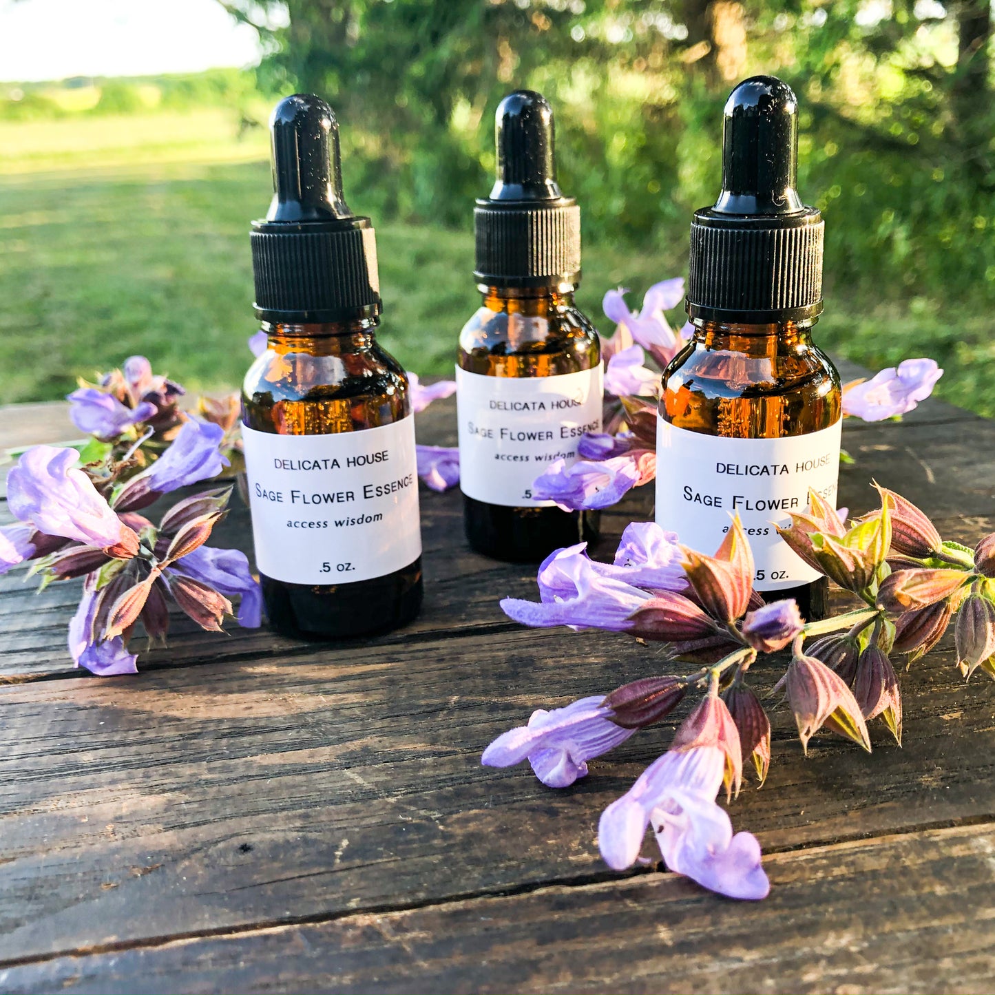 Sage Flower Essence - Flower Remedy - Flower Elixir - Access Wisdom - 6th Chakra - Third Eye Chakra - Flower Essences
