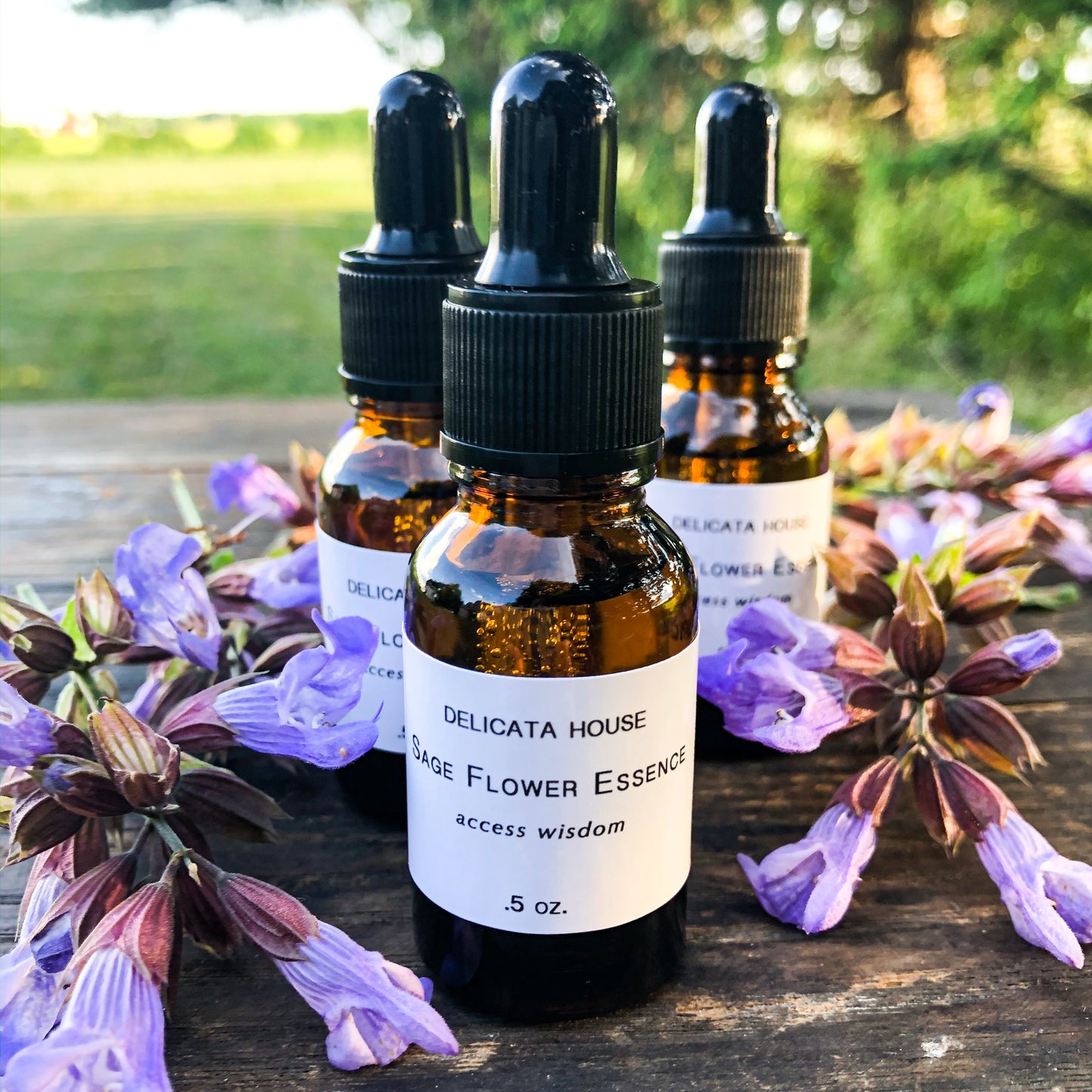 Sage Flower Essence - Flower Remedy - Flower Elixir - Access Wisdom - 6th Chakra - Third Eye Chakra - Flower Essences