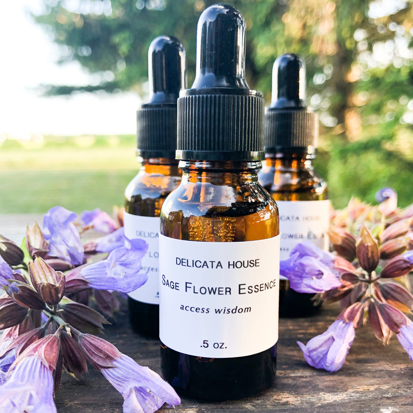 Sage Flower Essence - Flower Remedy - Flower Elixir - Access Wisdom - 6th Chakra - Third Eye Chakra - Flower Essences