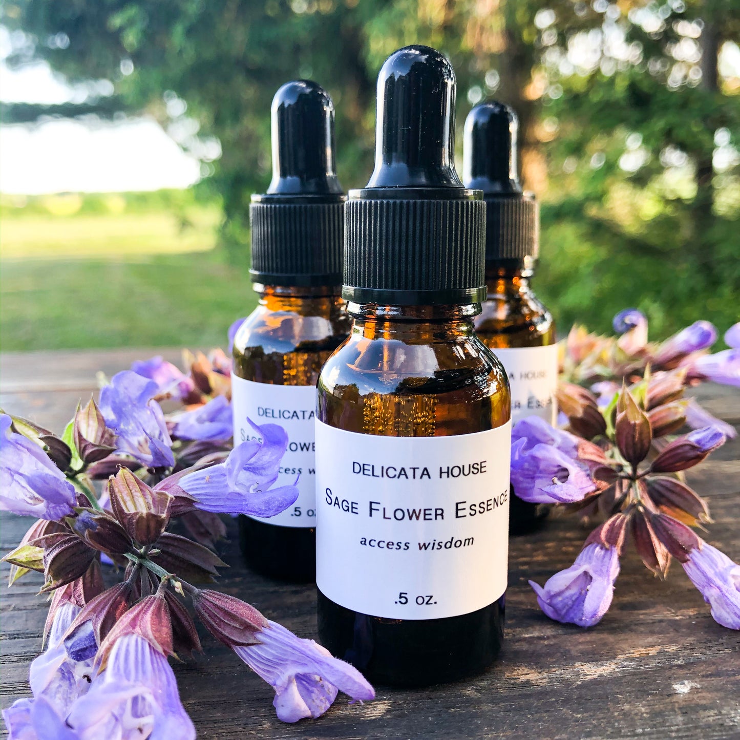 Sage Flower Essence - Flower Remedy - Flower Elixir - Access Wisdom - 6th Chakra - Third Eye Chakra - Flower Essences