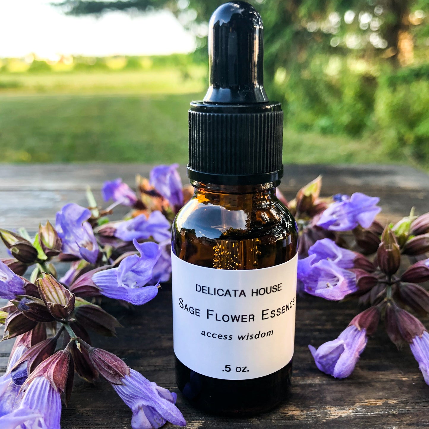 Sage Flower Essence - Flower Remedy - Flower Elixir - Access Wisdom - 6th Chakra - Third Eye Chakra - Flower Essences