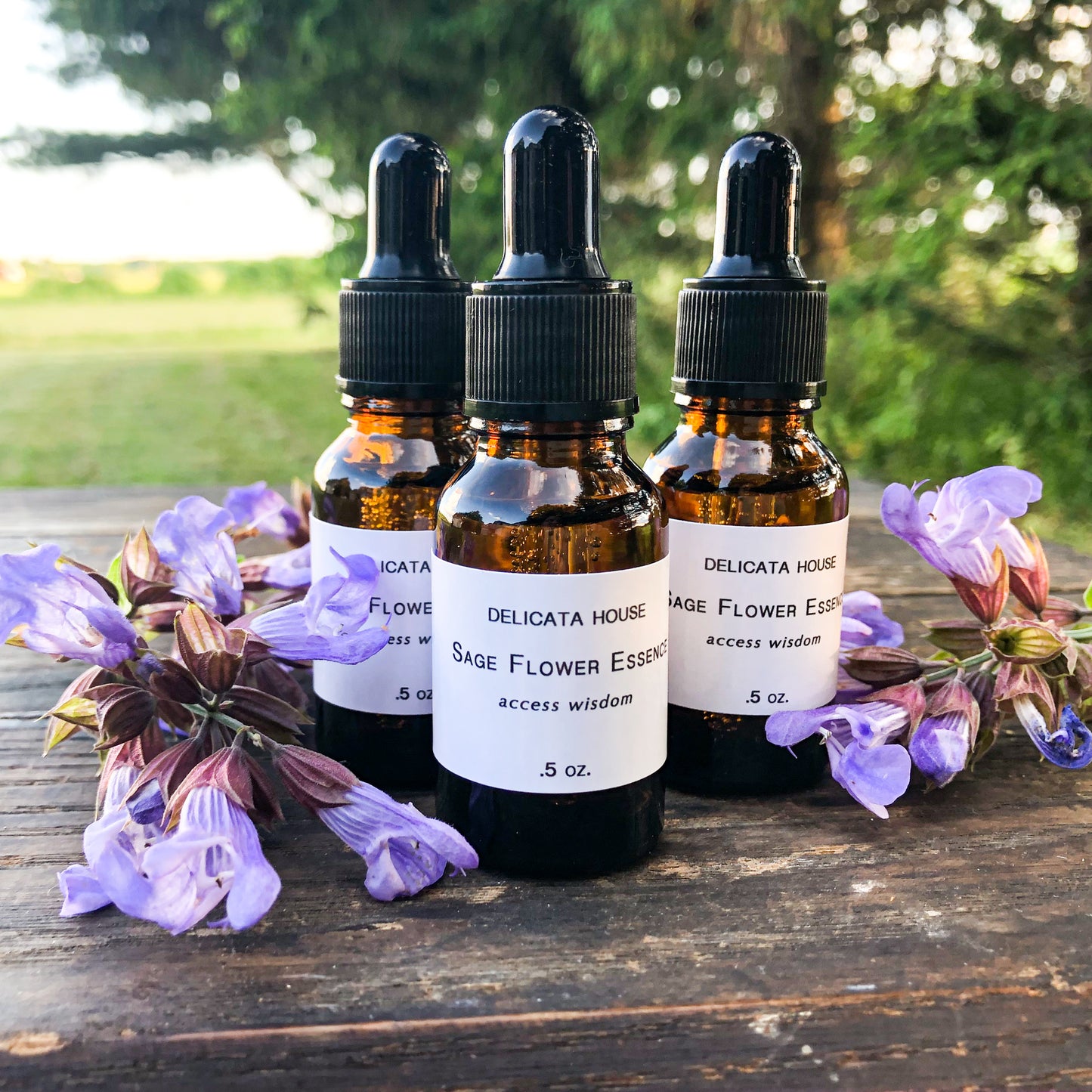 Sage Flower Essence - Flower Remedy - Flower Elixir - Access Wisdom - 6th Chakra - Third Eye Chakra - Flower Essences