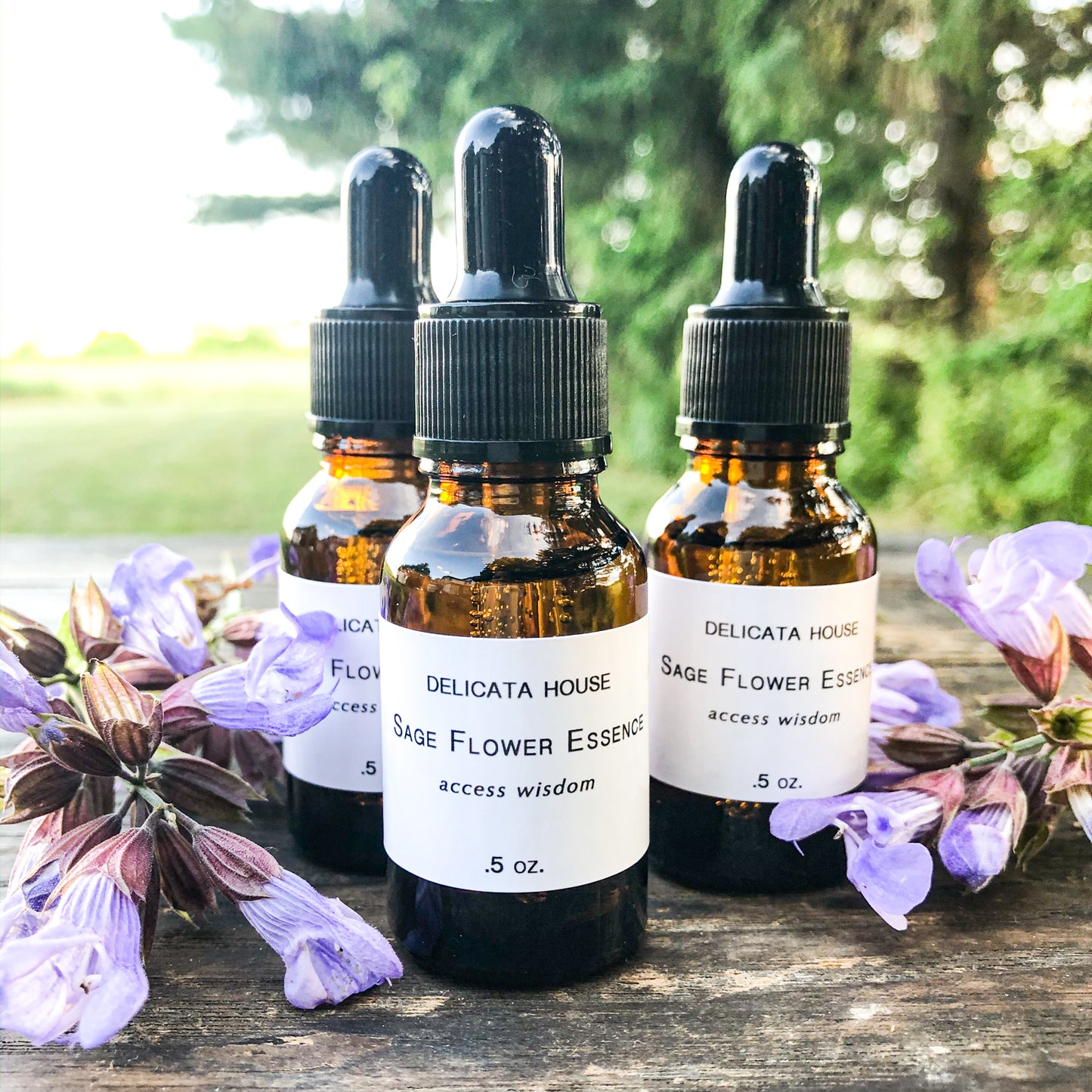 Sage Flower Essence - Flower Remedy - Flower Elixir - Access Wisdom - 6th Chakra - Third Eye Chakra - Flower Essences